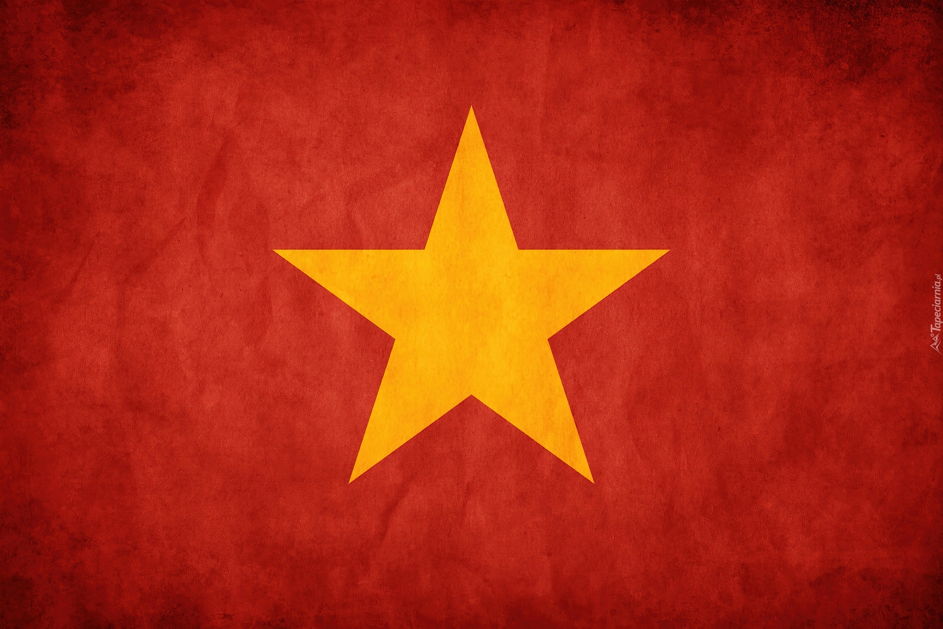 Flaga, Państwa, Wietnam