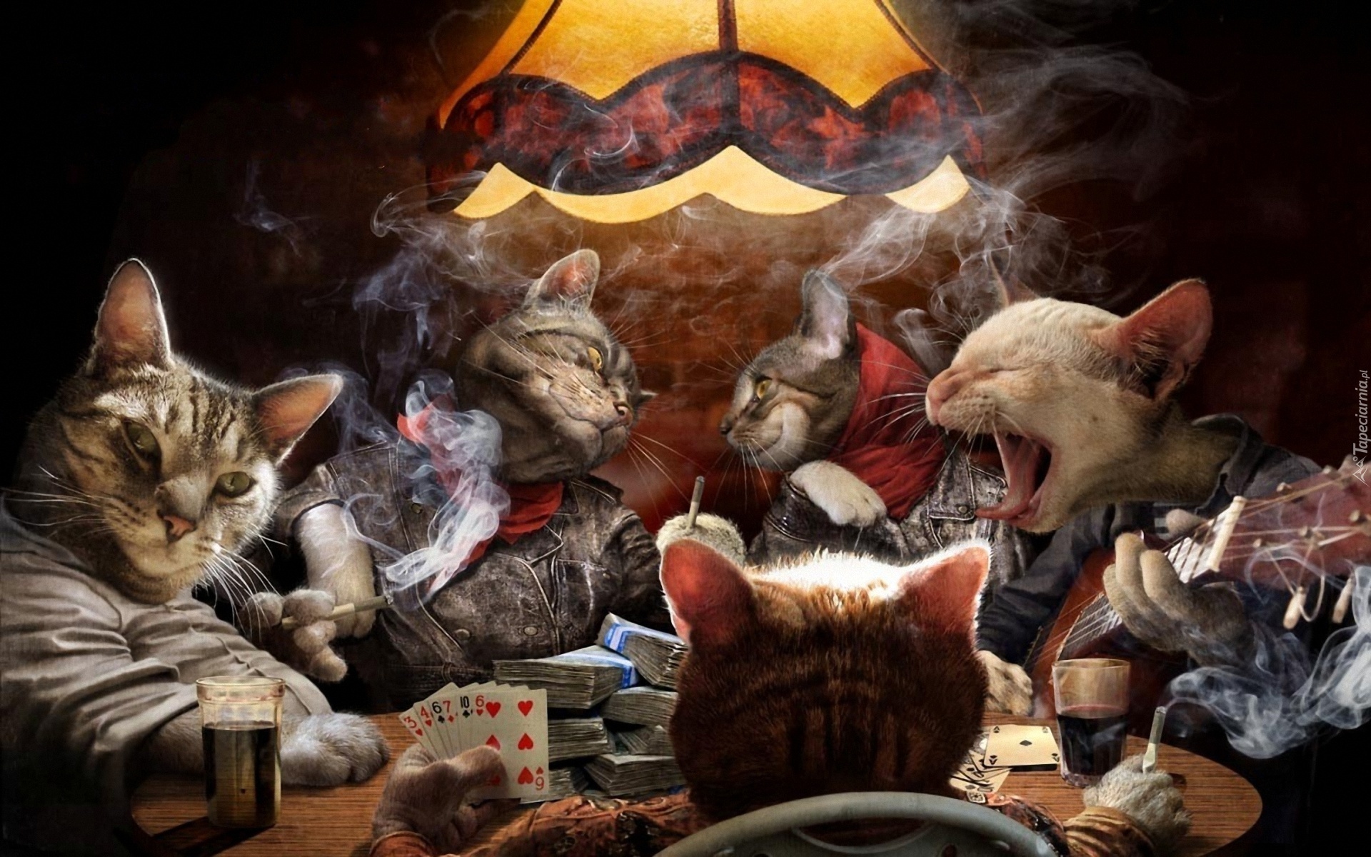 Koty, Karty, Poker
