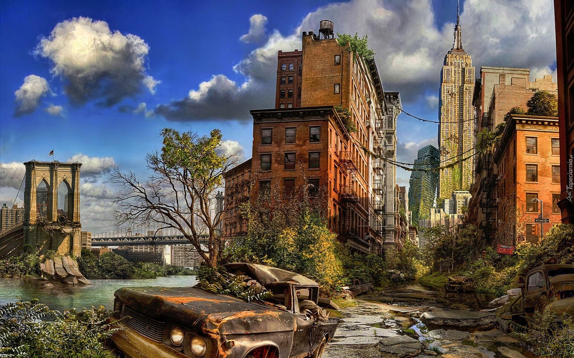 Nowy Jork, Zniszczony, Samochód, Ruiny