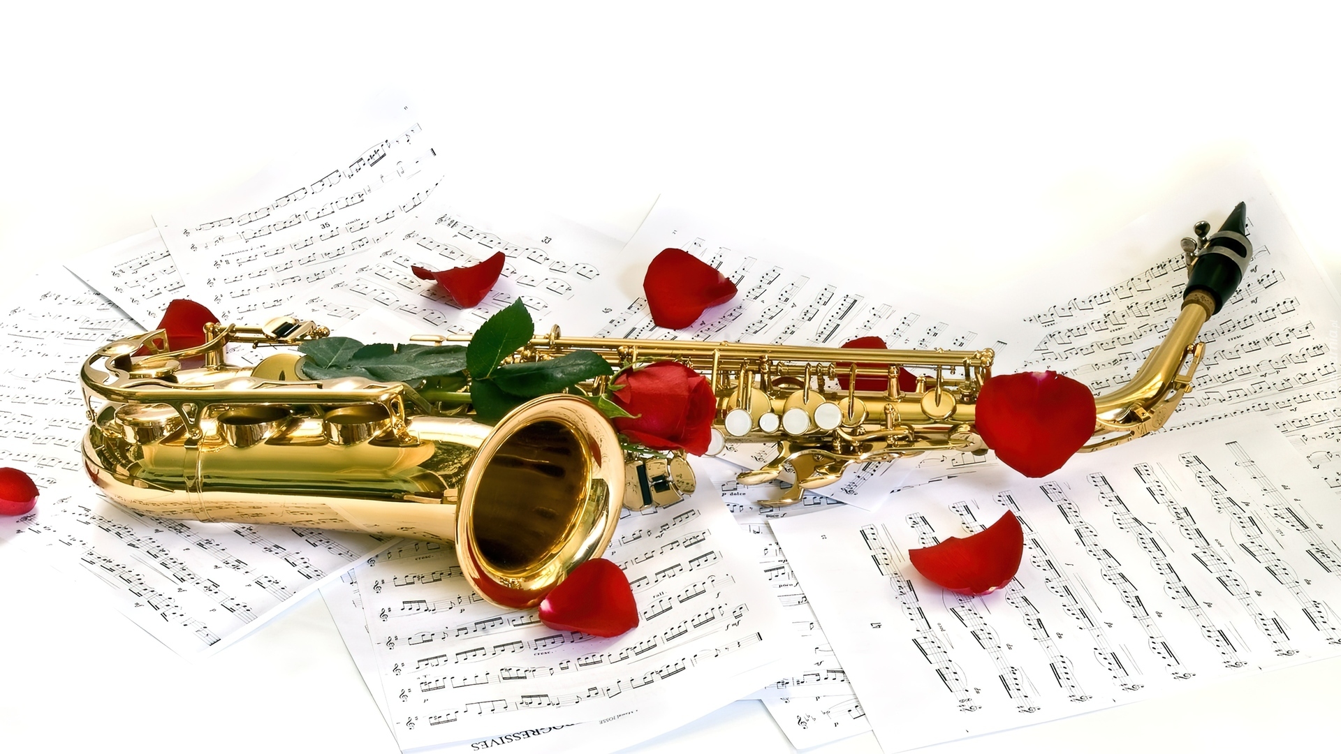 Nuty, Płatki, Róż, Saksofon