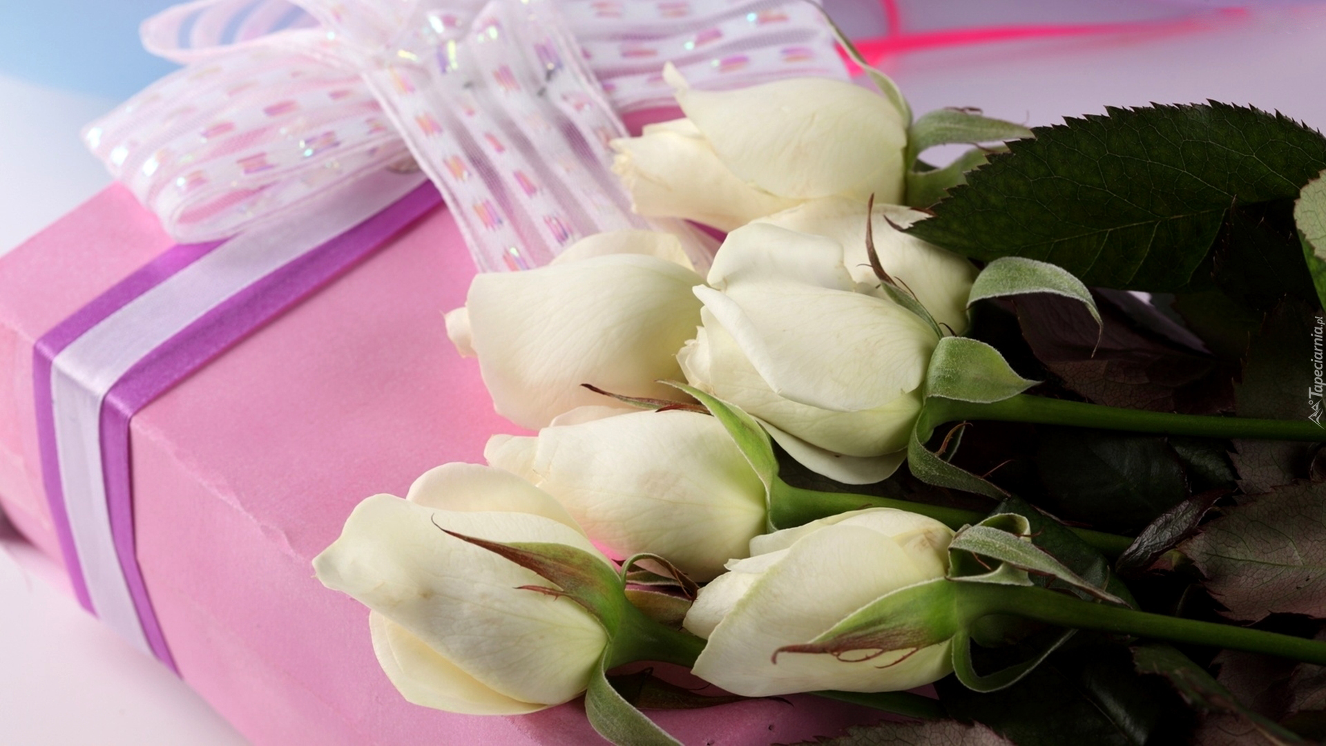 Białe, Róże, Pudełko, Wstążki