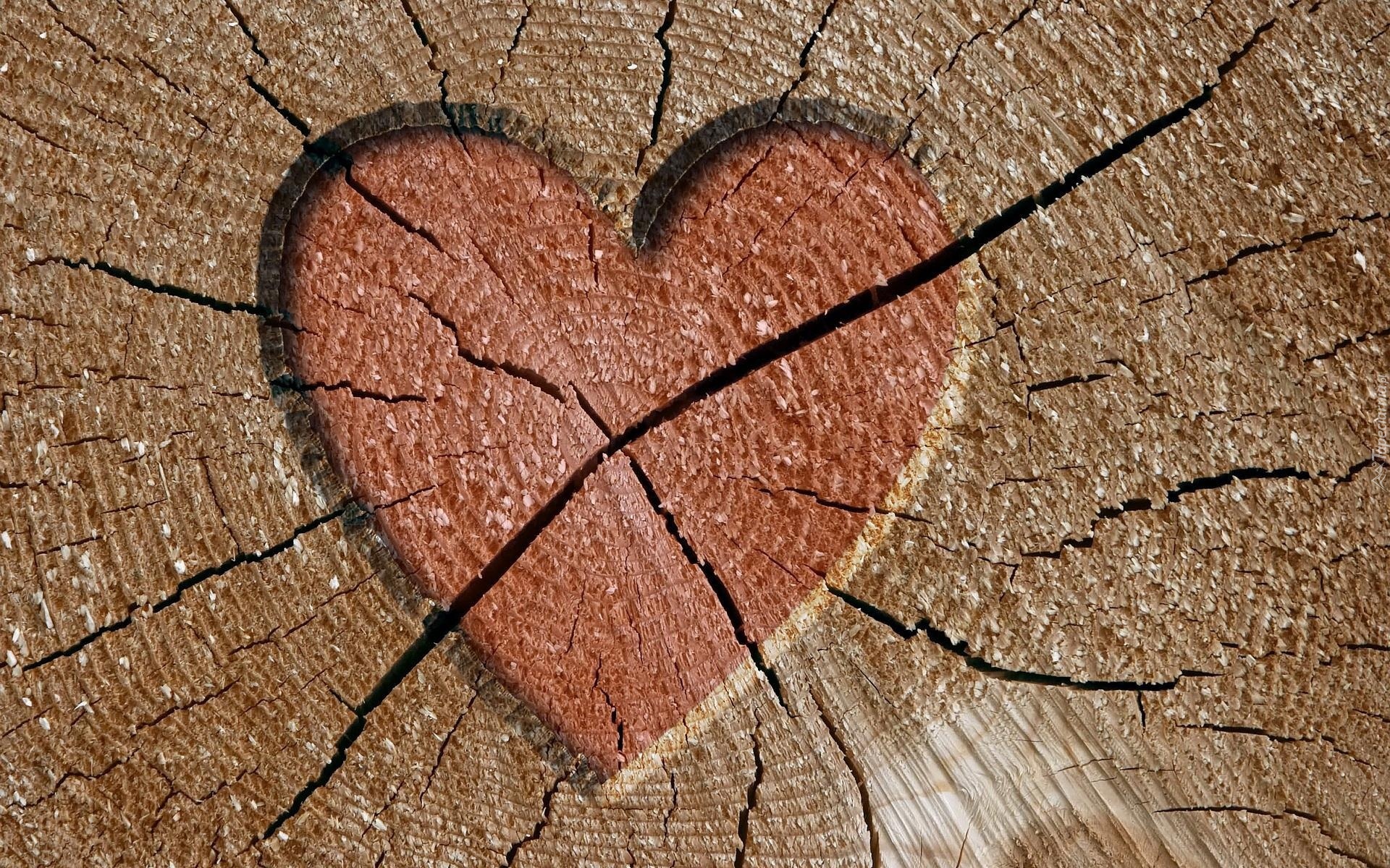 Pień, Drzewa, Wyryte, Serce