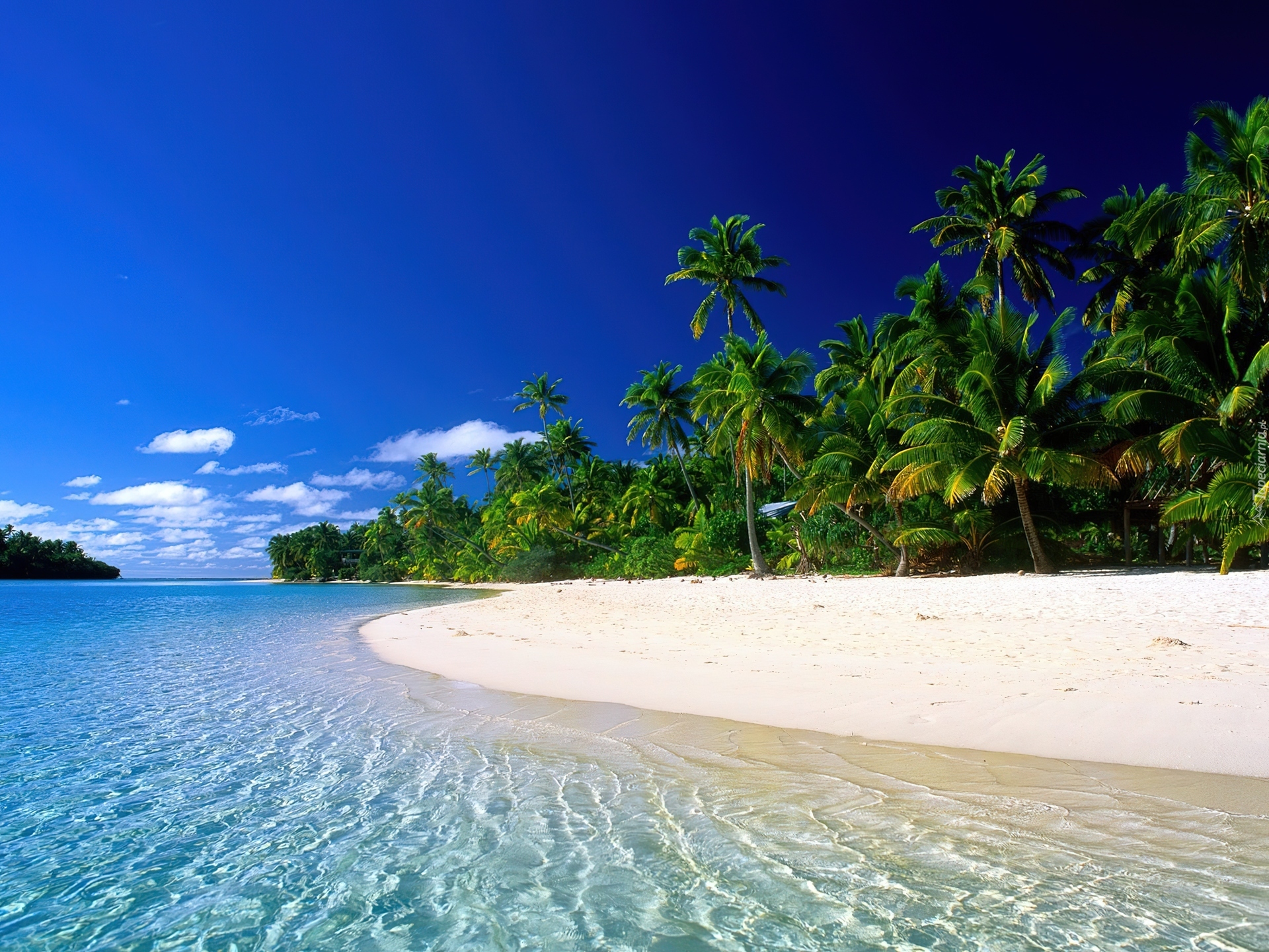 Wyspy Cooka, Plaża, Palmy