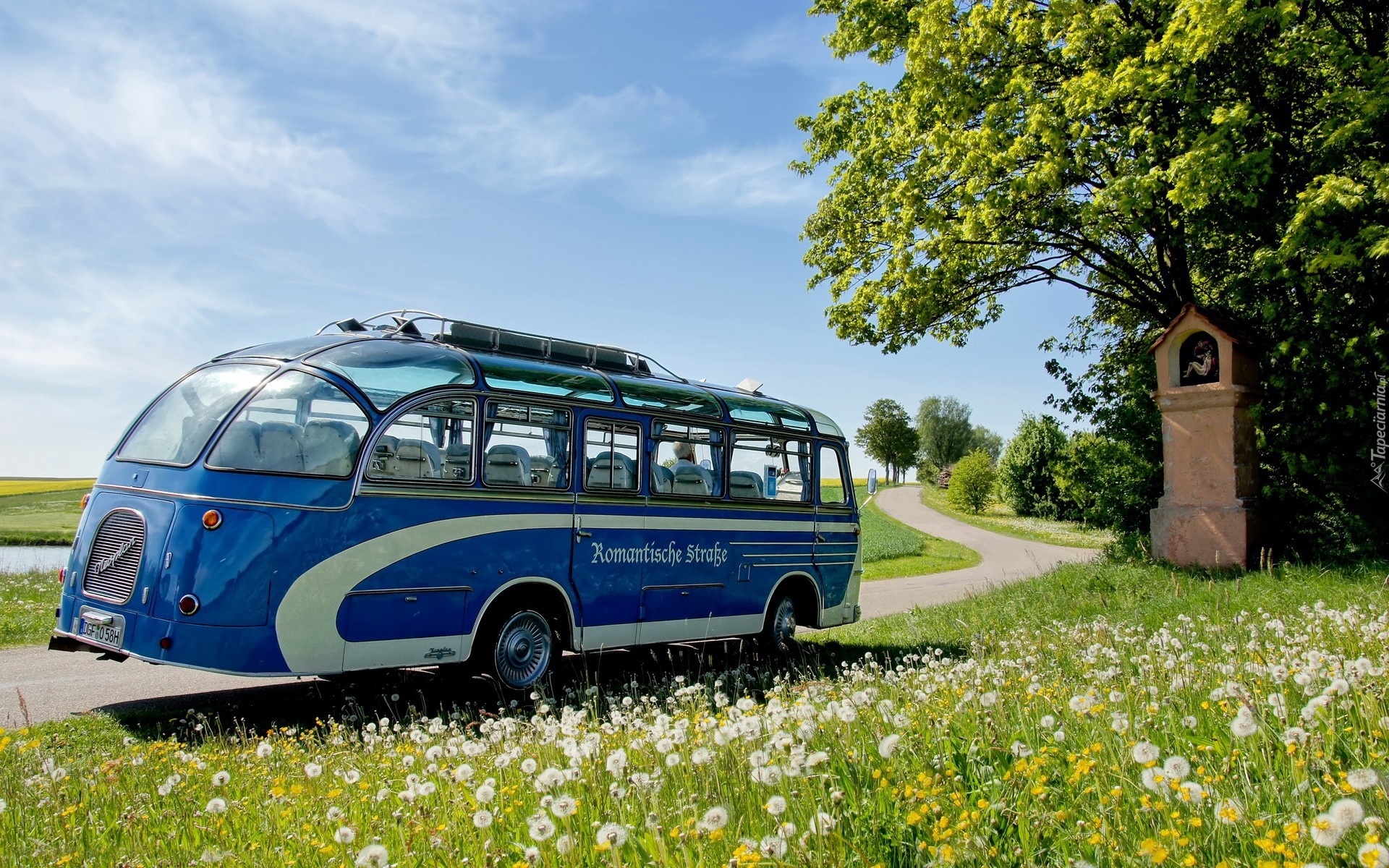 Autobus, Droga, Łąka, Kapliczka