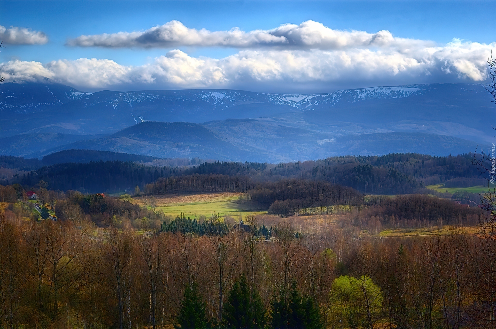 Góry, Chmury, Szczyty, Śnieg, Las, Drzewa