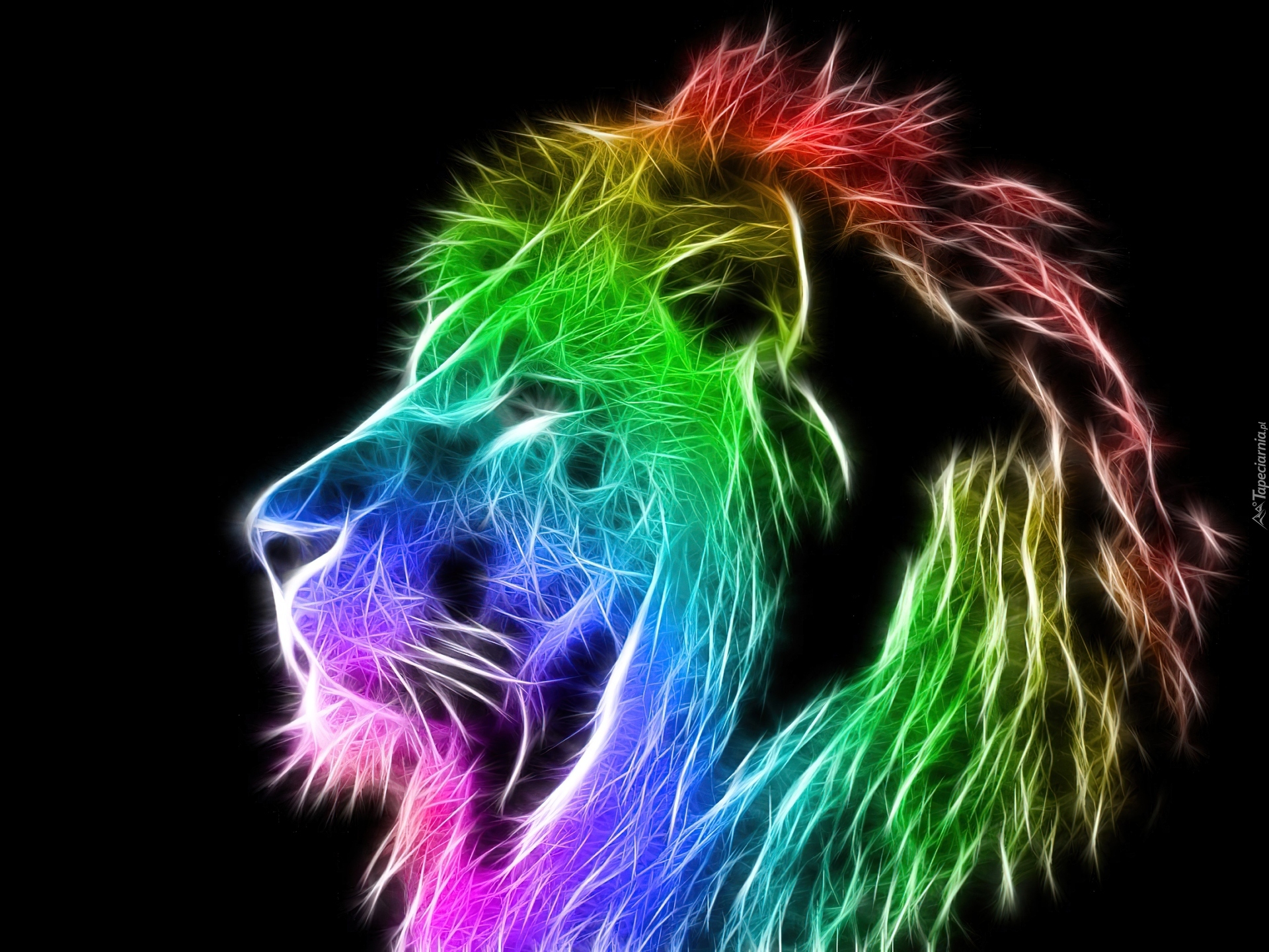 Аватарка на телефон самсунг. Разноцветный Лев. Неоновый Лев. Красивые разноцветные животные. Неоновые звери.
