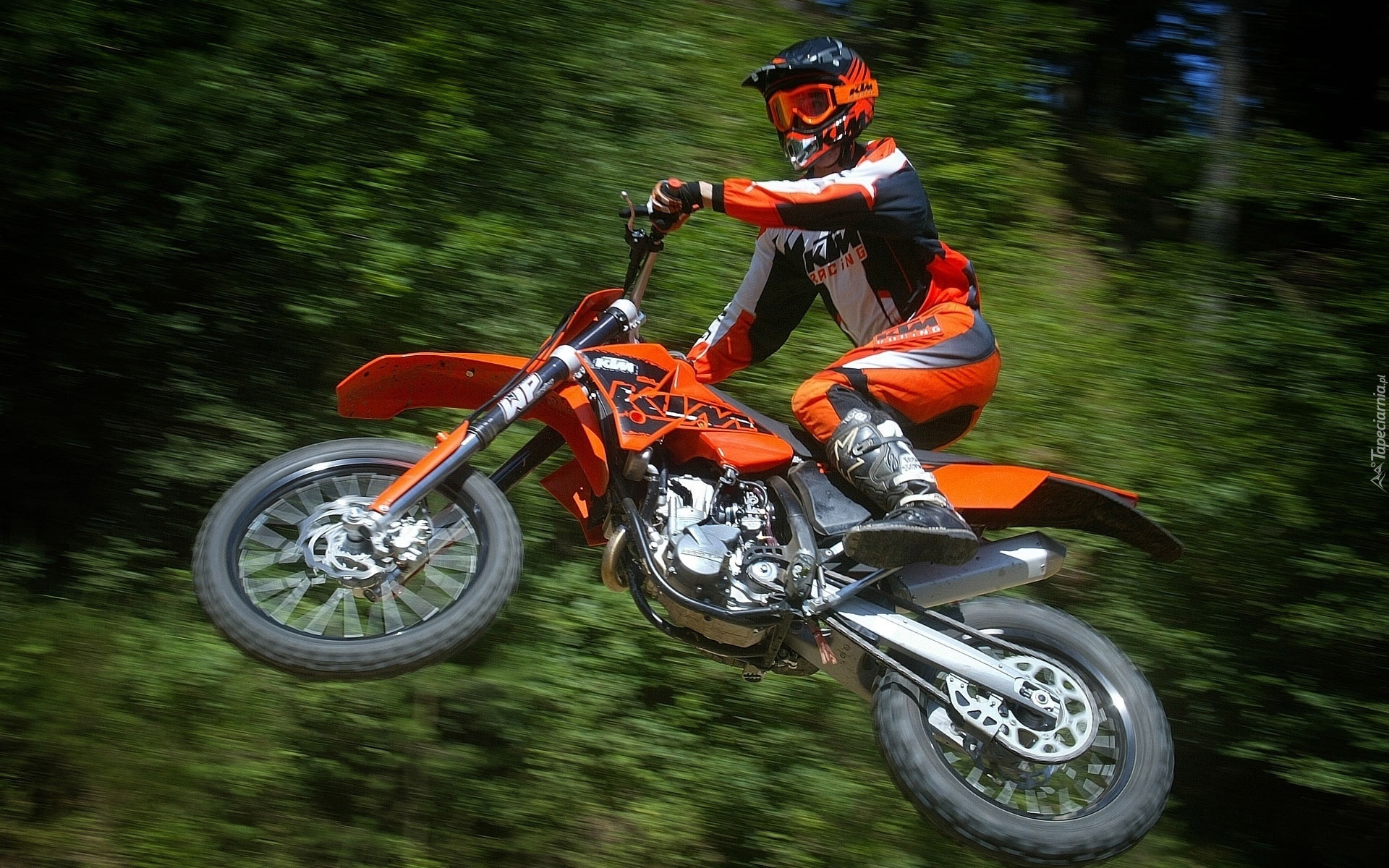 Motocross, Zawodnik, KTM