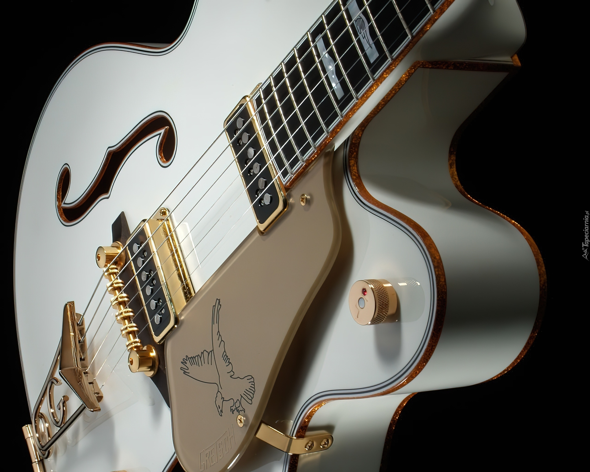 Biała, Gitara