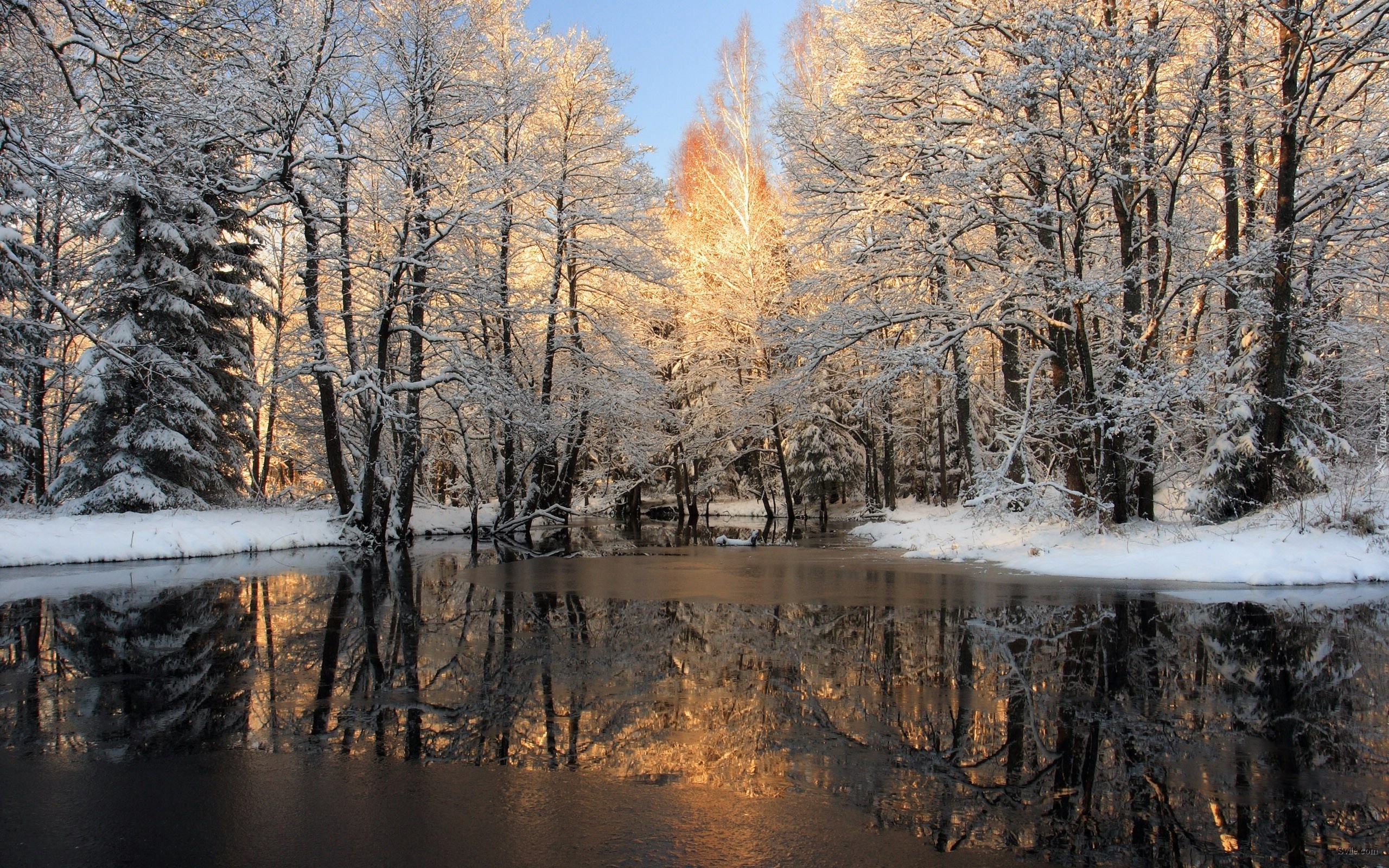 Rzeka, Śnieg, Drzewa