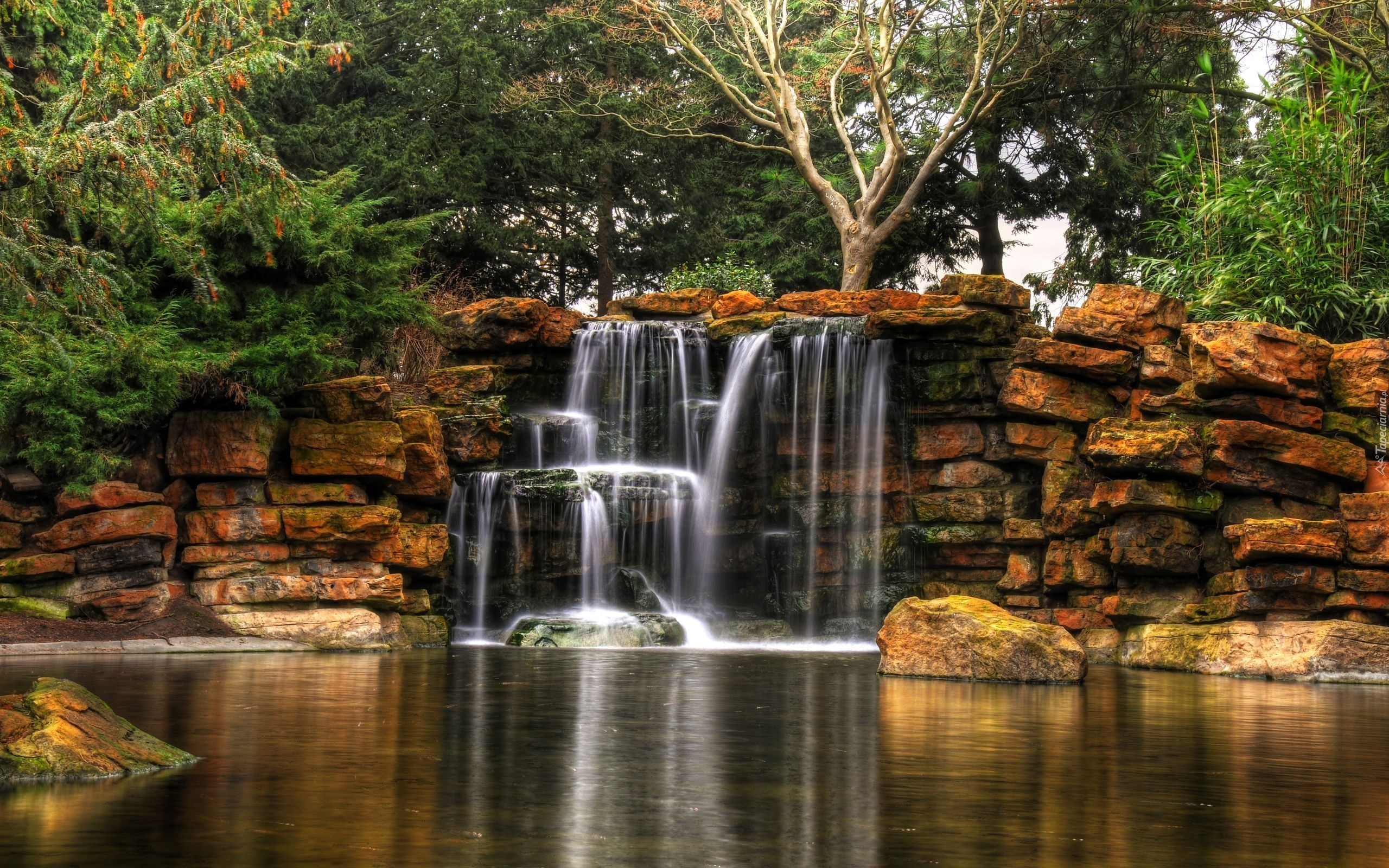 Обои красивые водопады. Природа водопад. Красивые водопады. Маленький водопад. Пейзаж водопад.
