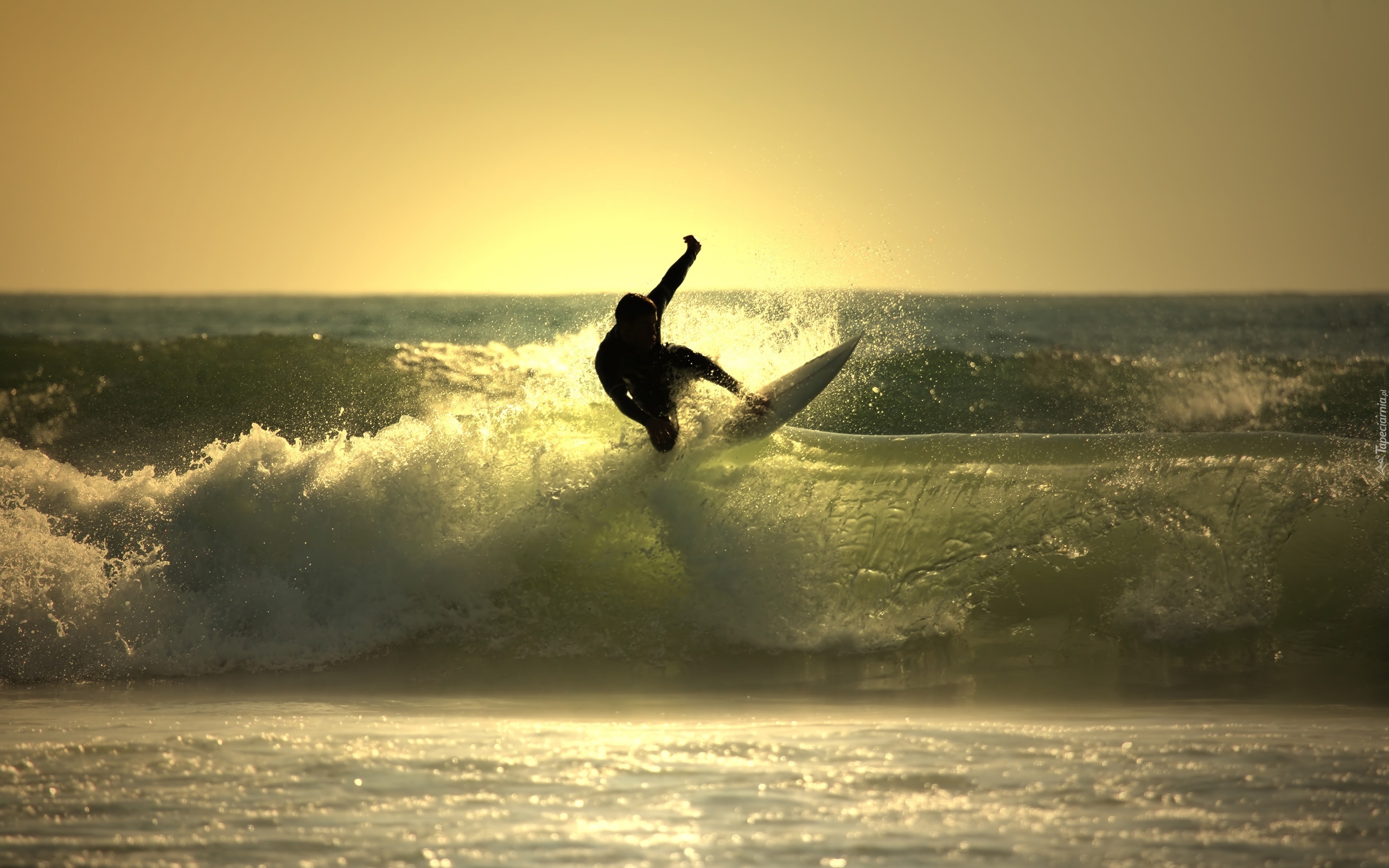 Morze, Fale, Surfer