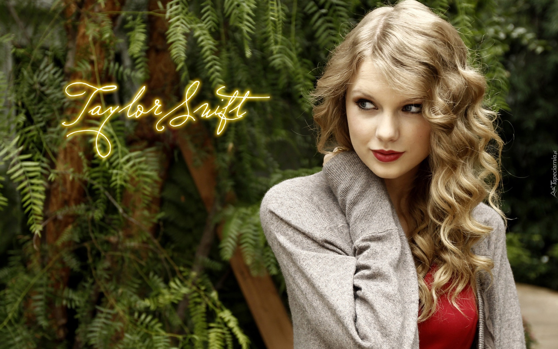 Taylor Swift, Wokalista