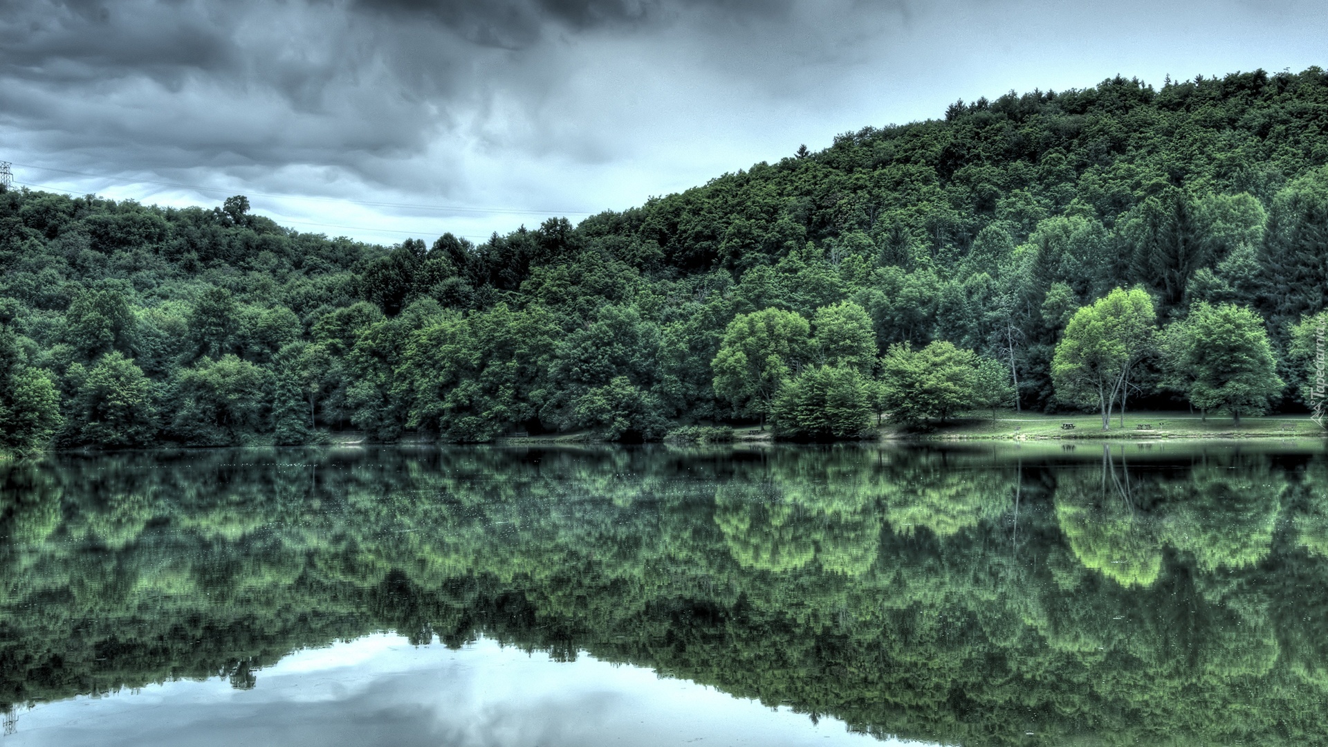 Jezioro, Las, Odbicie
