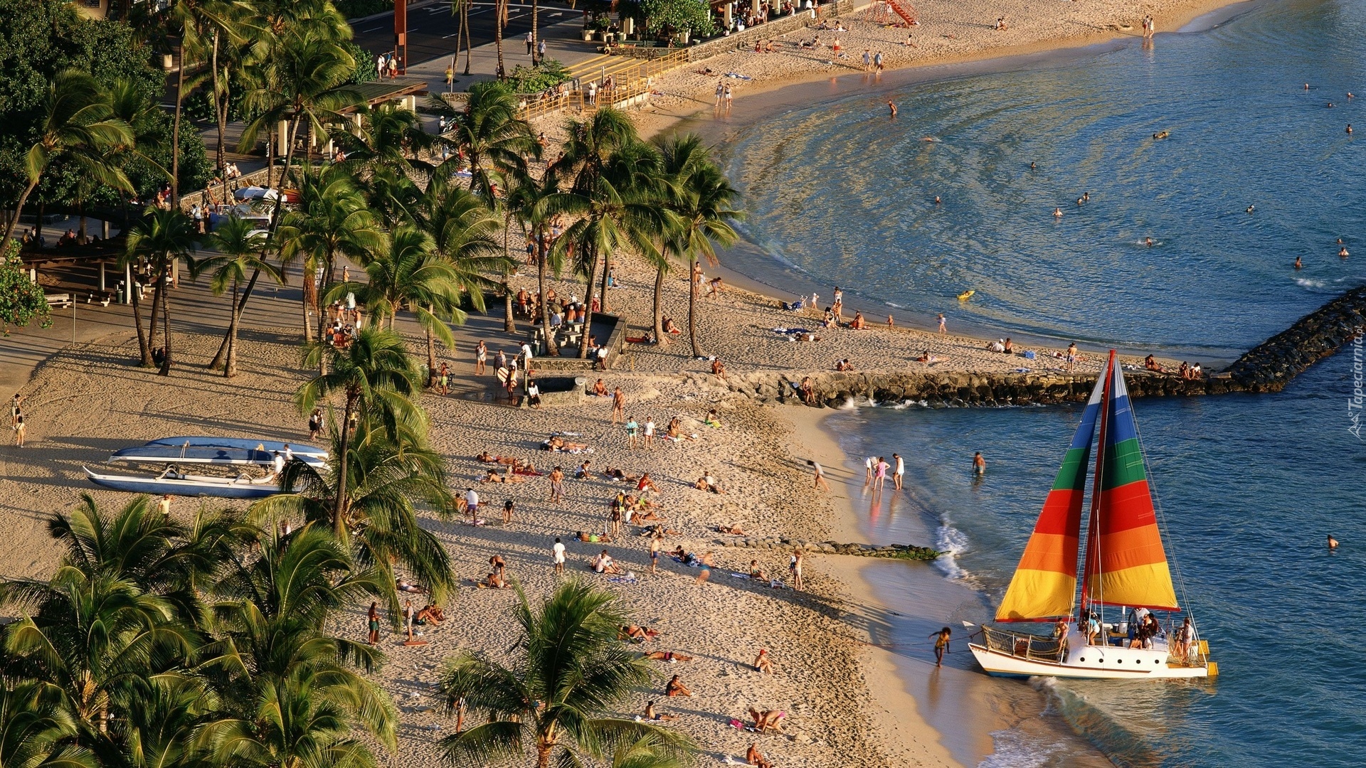 Plaża, Jacht, Kolorowe, Żagle, Palmy