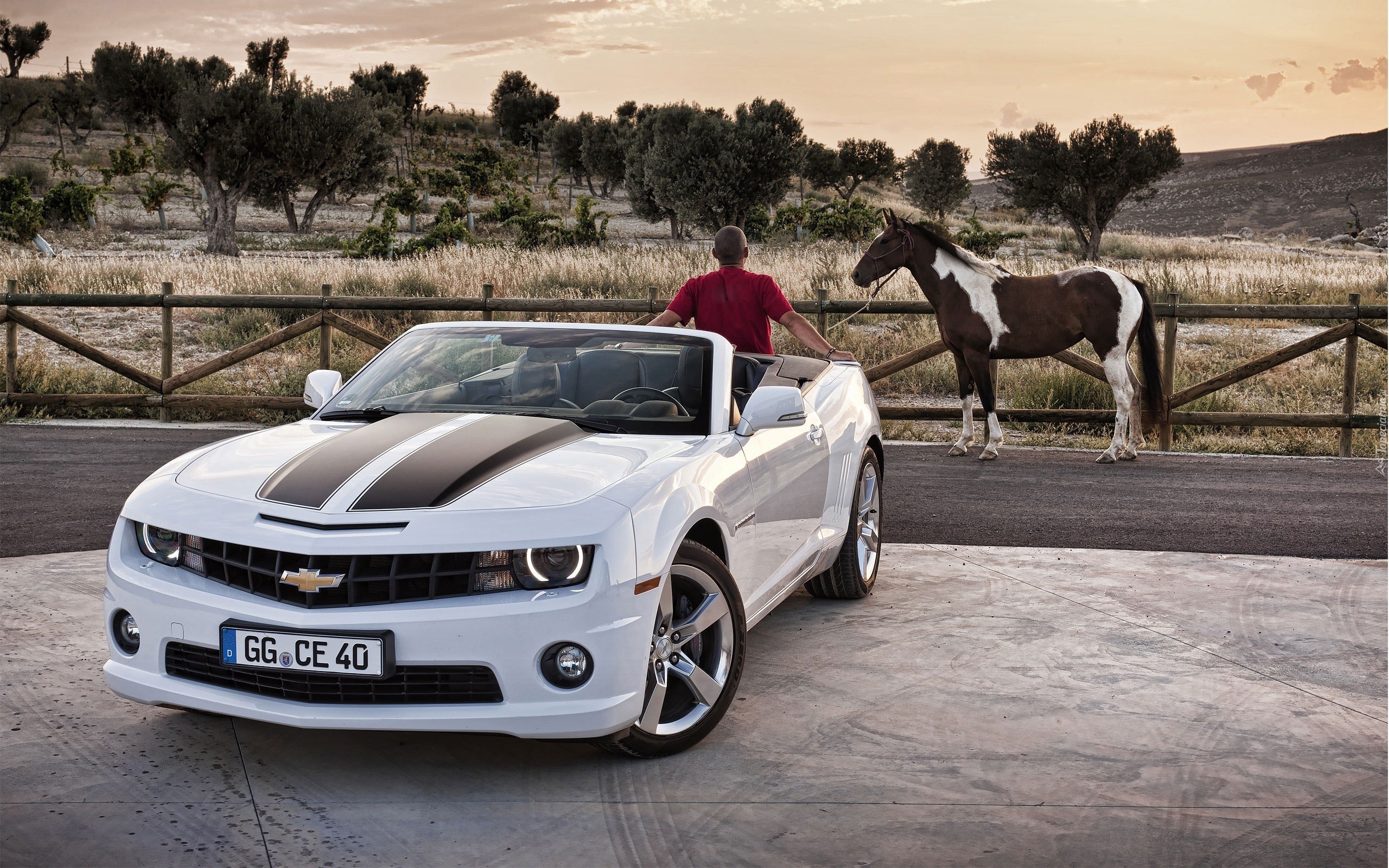 Chevrolet, Mężczyzna, Koń