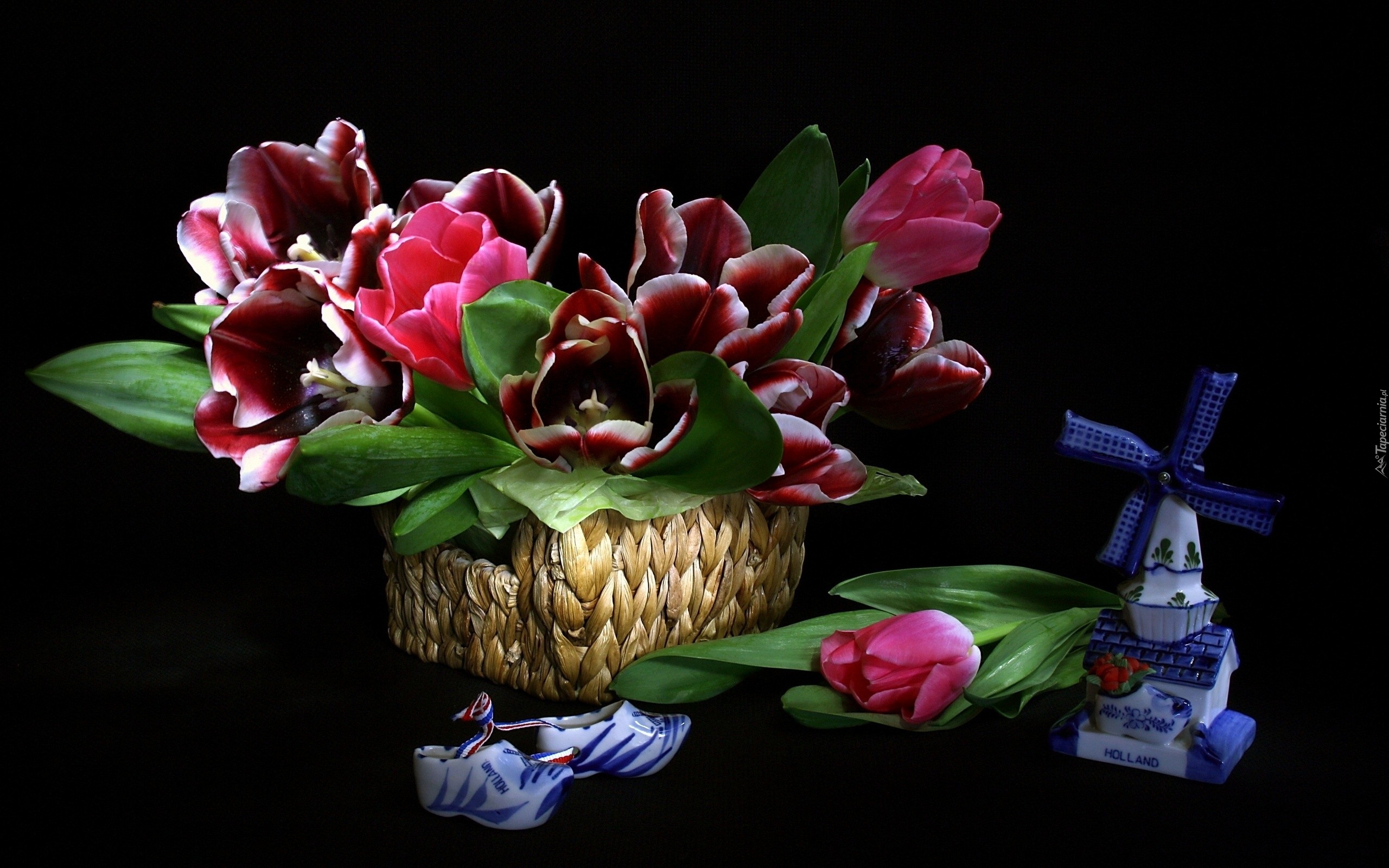 Kosz, Tulipany, Porcelana