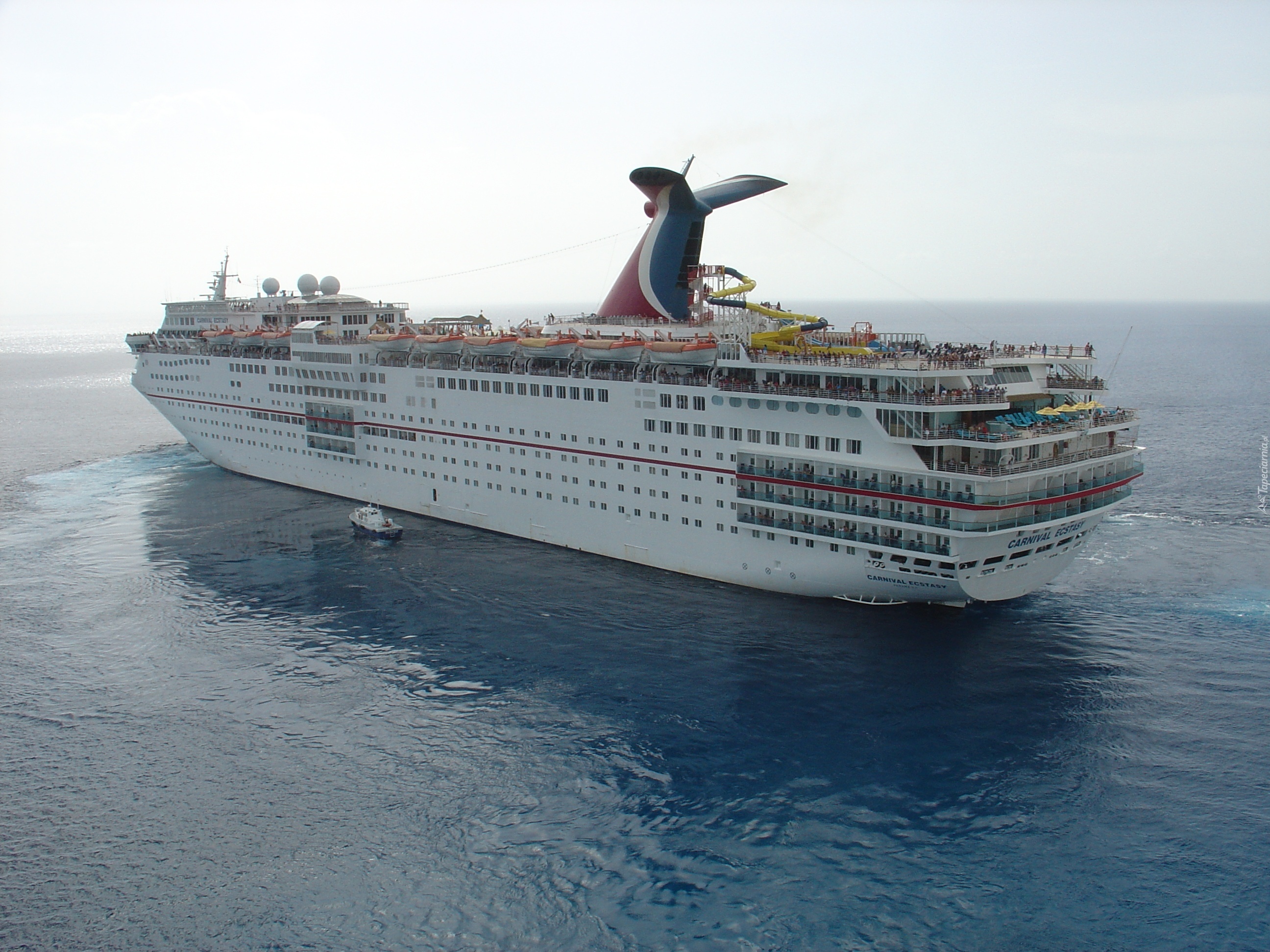 Carnival Ecstasy