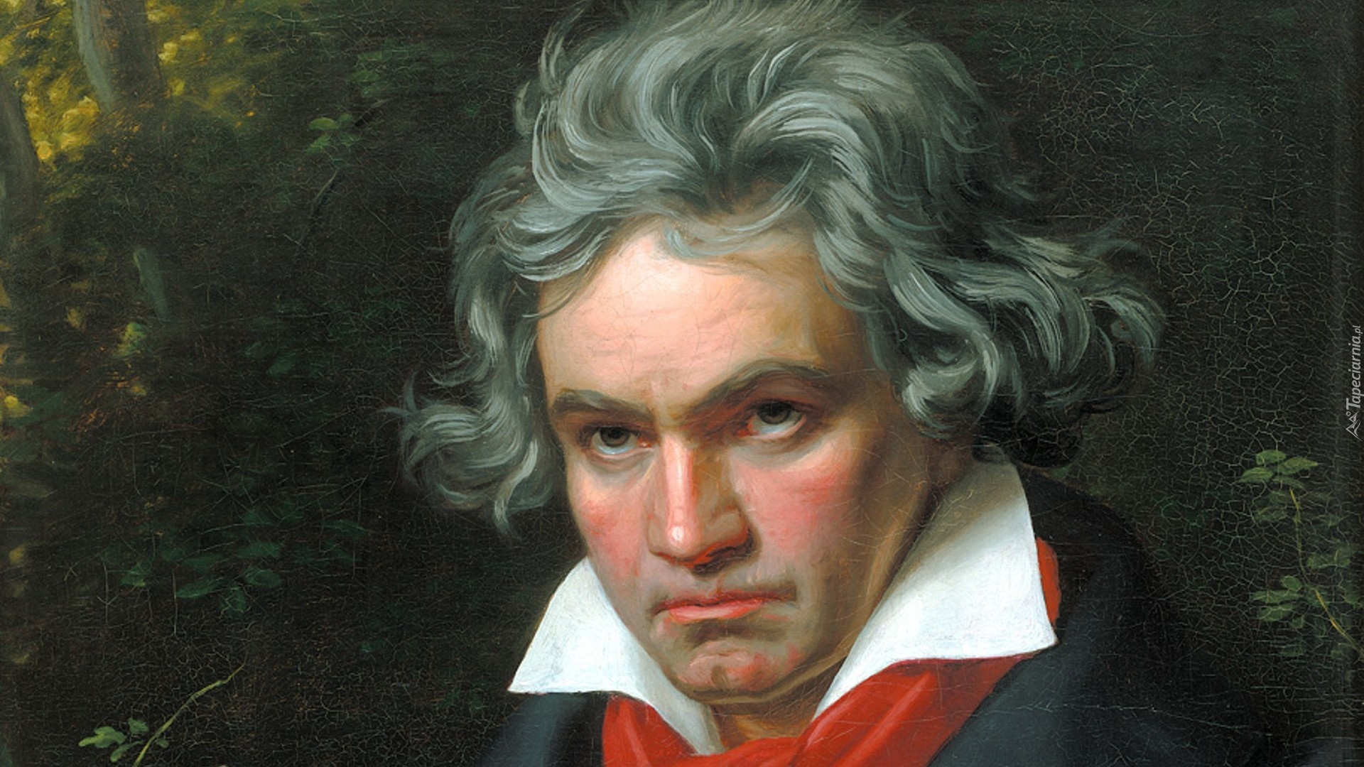 Ludwig Van Beethoven, Portret, Obraz, Kompozytor