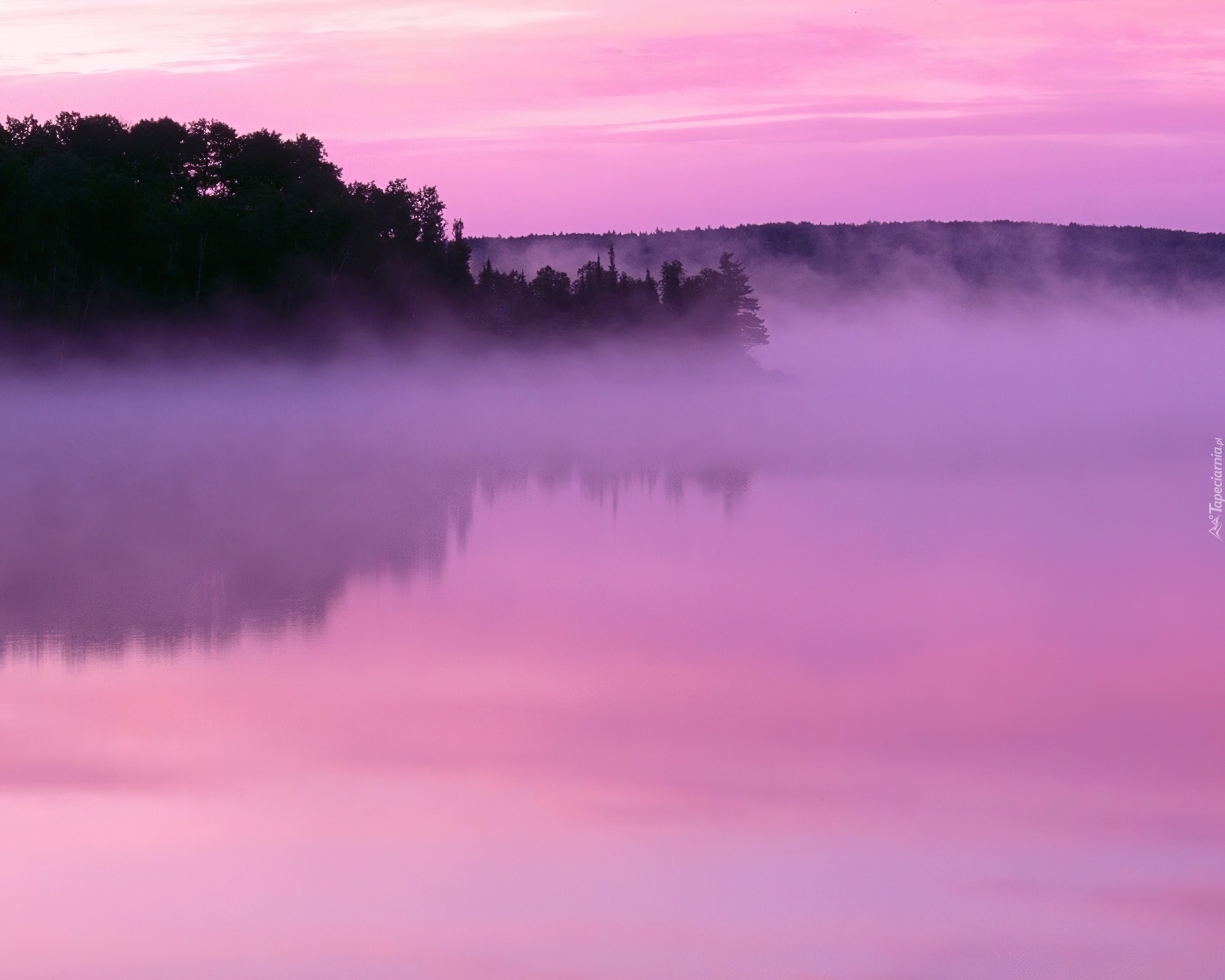 Бледно розовый рассвет. Розовый закат. Фиолетовый закат. Фиолетовый туман. Природа в розовых тонах.