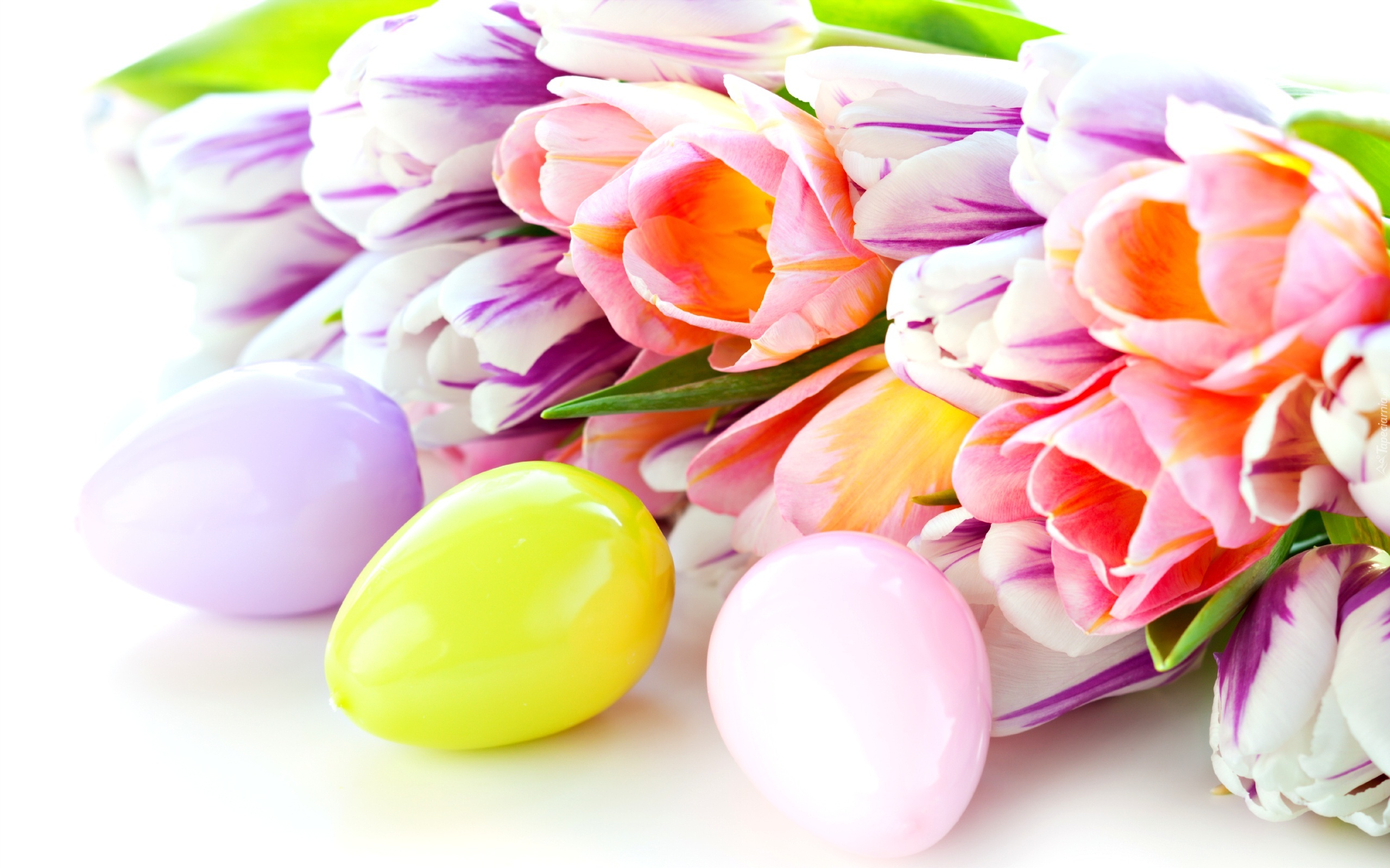 Tulipany, Wielkanocne, Jajeczka