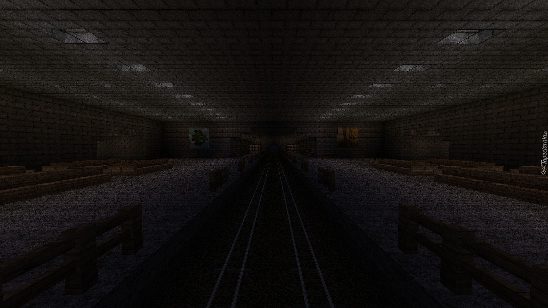 Minecraft, Metro, Peron