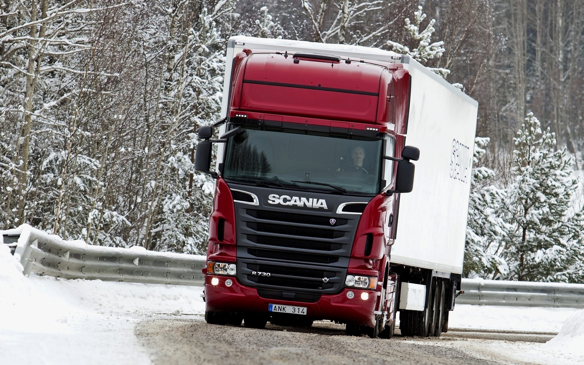 Scania R730, Droga, Las