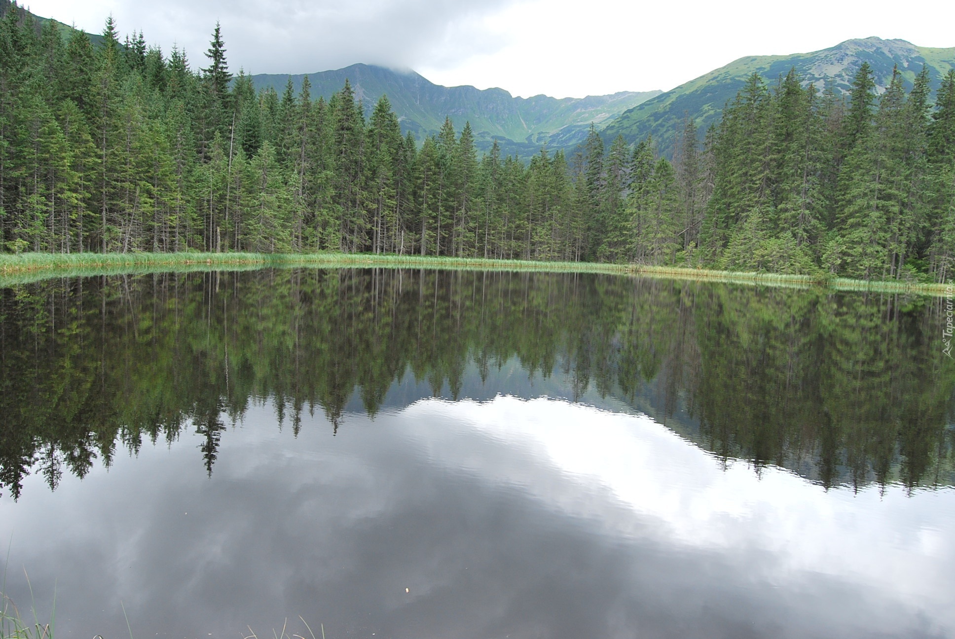 Góry, Tatry, Staw Smreczyński