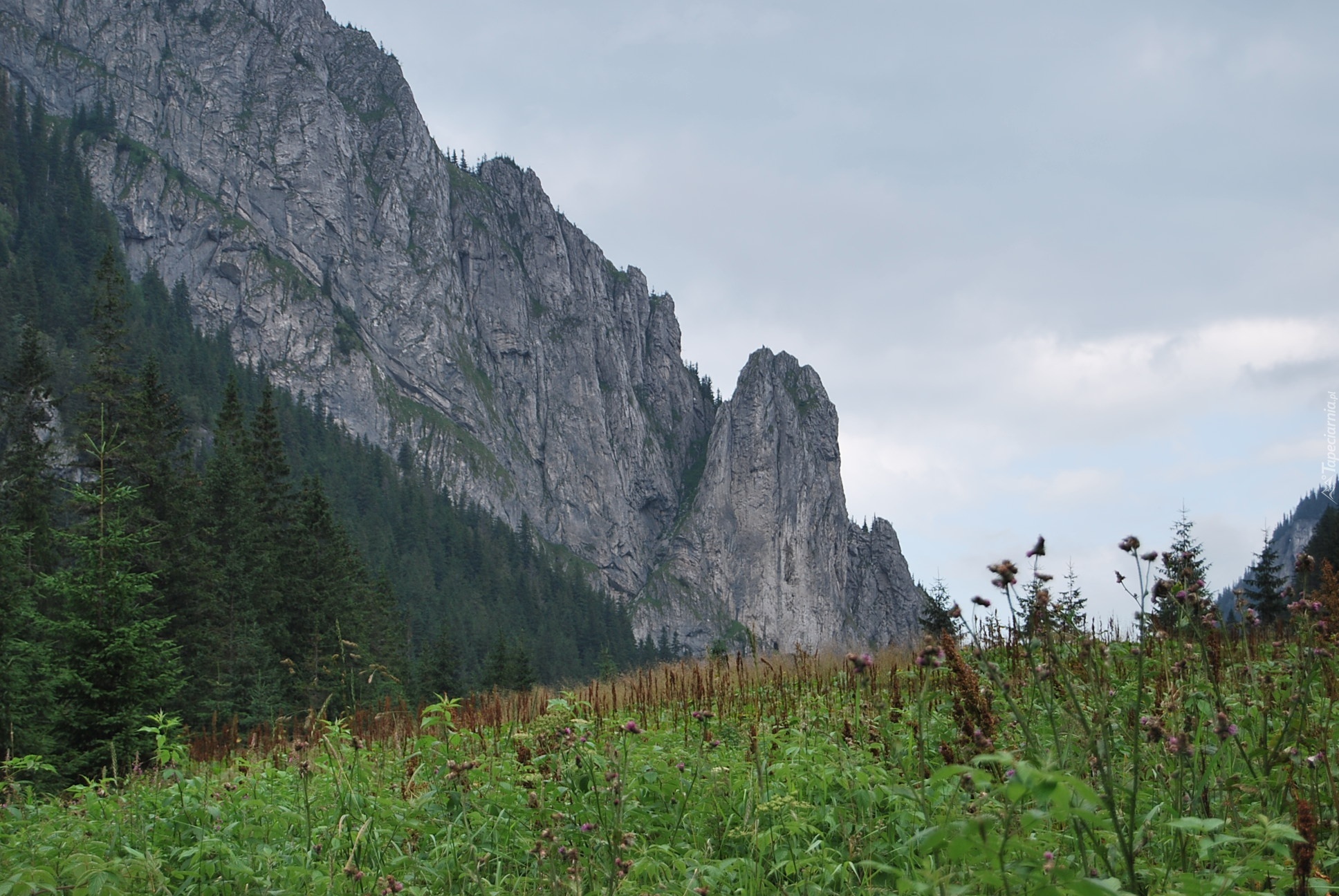 Tatry, Dolina Kościeliska, Szczyty