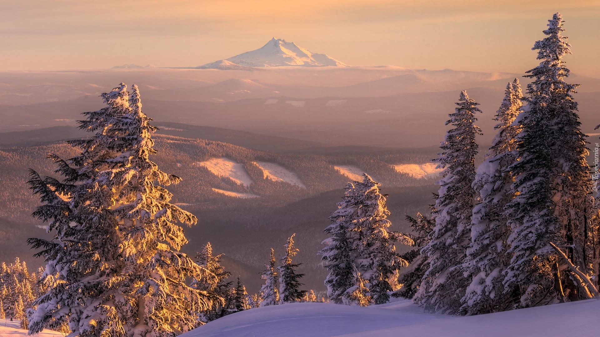 зима снег ели горы winter snow ate mountains бесплатно