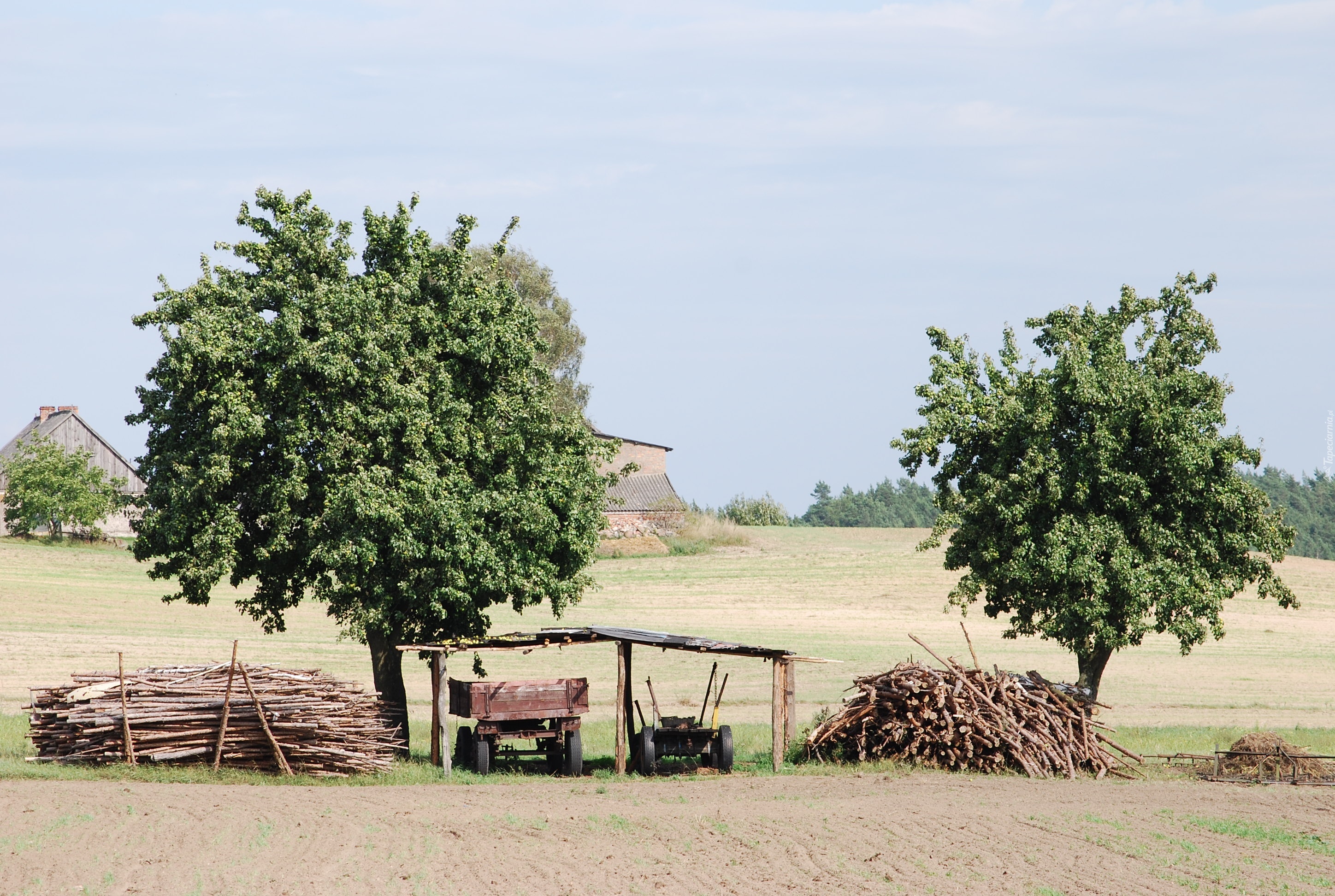 Polska, Wieś