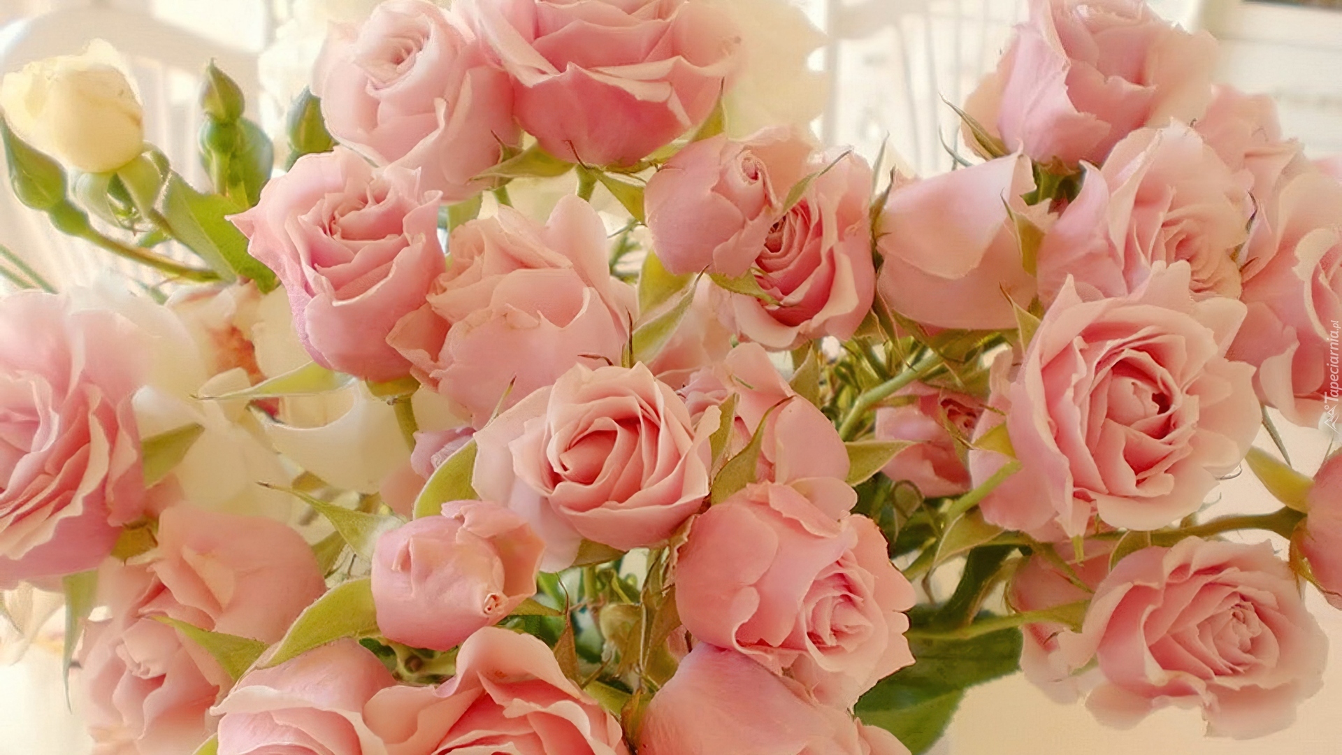 Открытка с днем розовой. Красивый нежный букет. Нежный цветок. Очень красивые нежные цветы. Нежные розы.