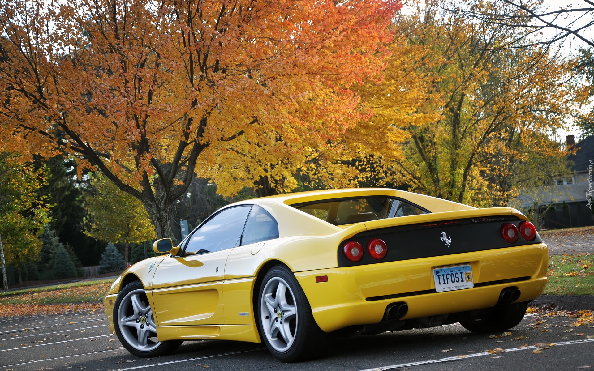 Ferrari 355 F1 Berlinetta, Plac, Drzewa