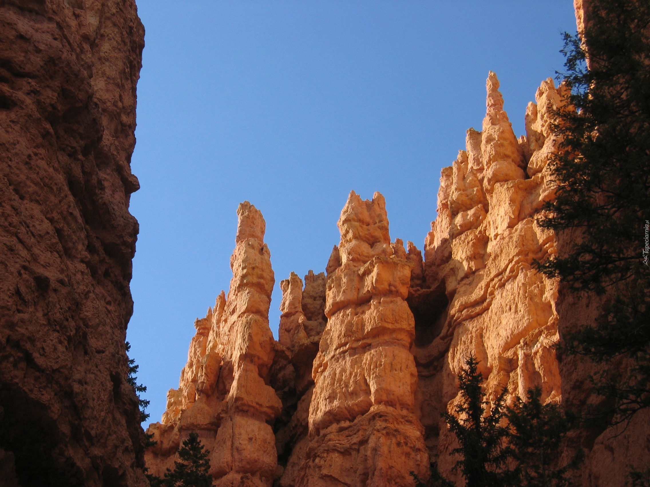 Stany Zjednoczone, Stan Utah, Park Narodowy Bryce Canyon, Kanion