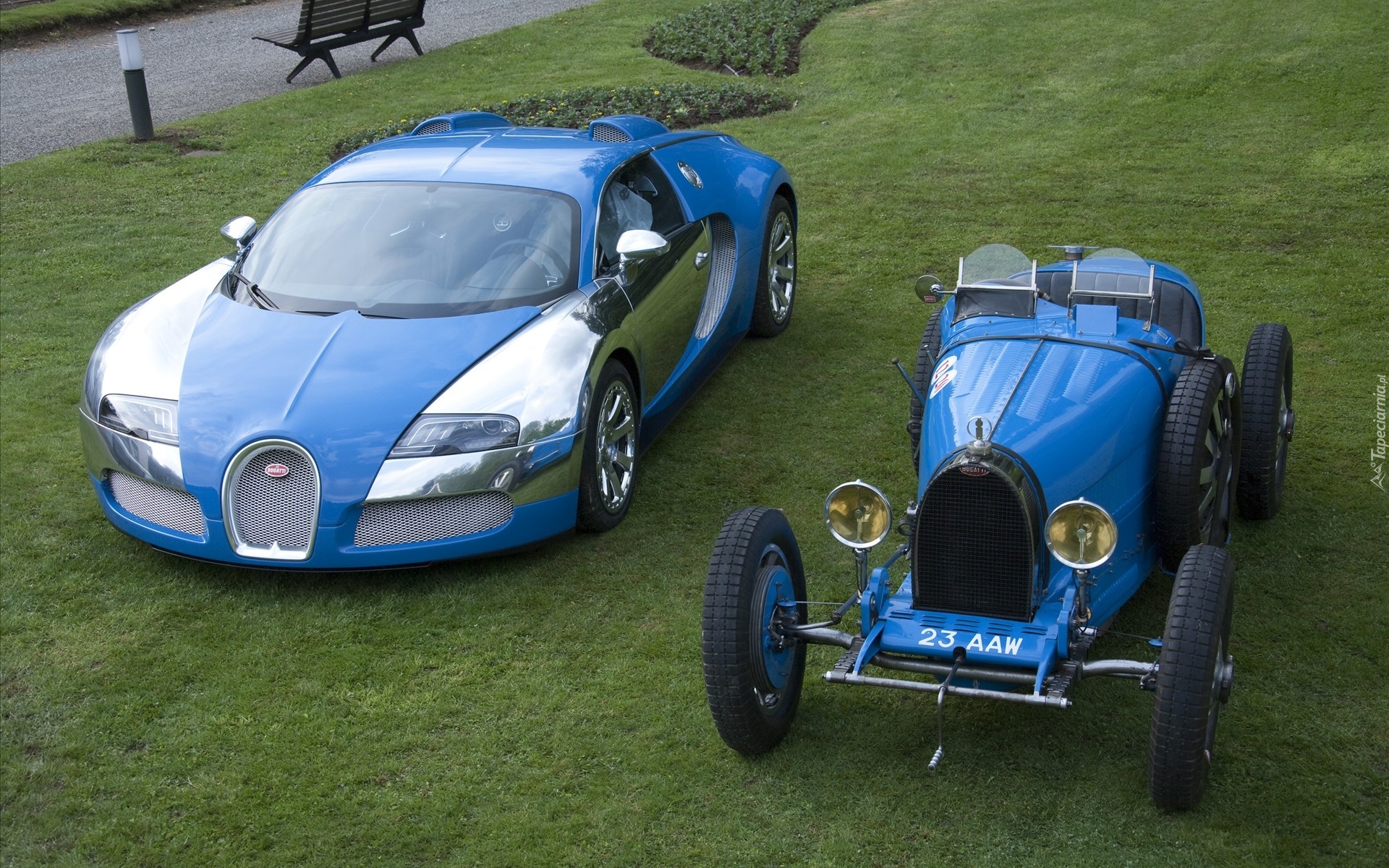 Bugatti Veyron, Bugatti T40, Trawnik