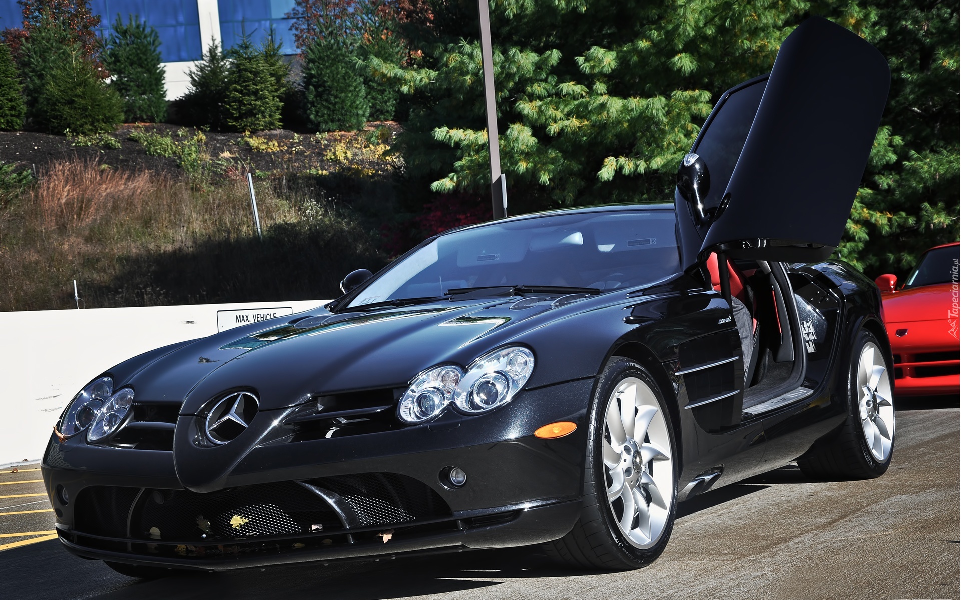 Mercedes Benz SLR McLaren, Ulica, Drzewa