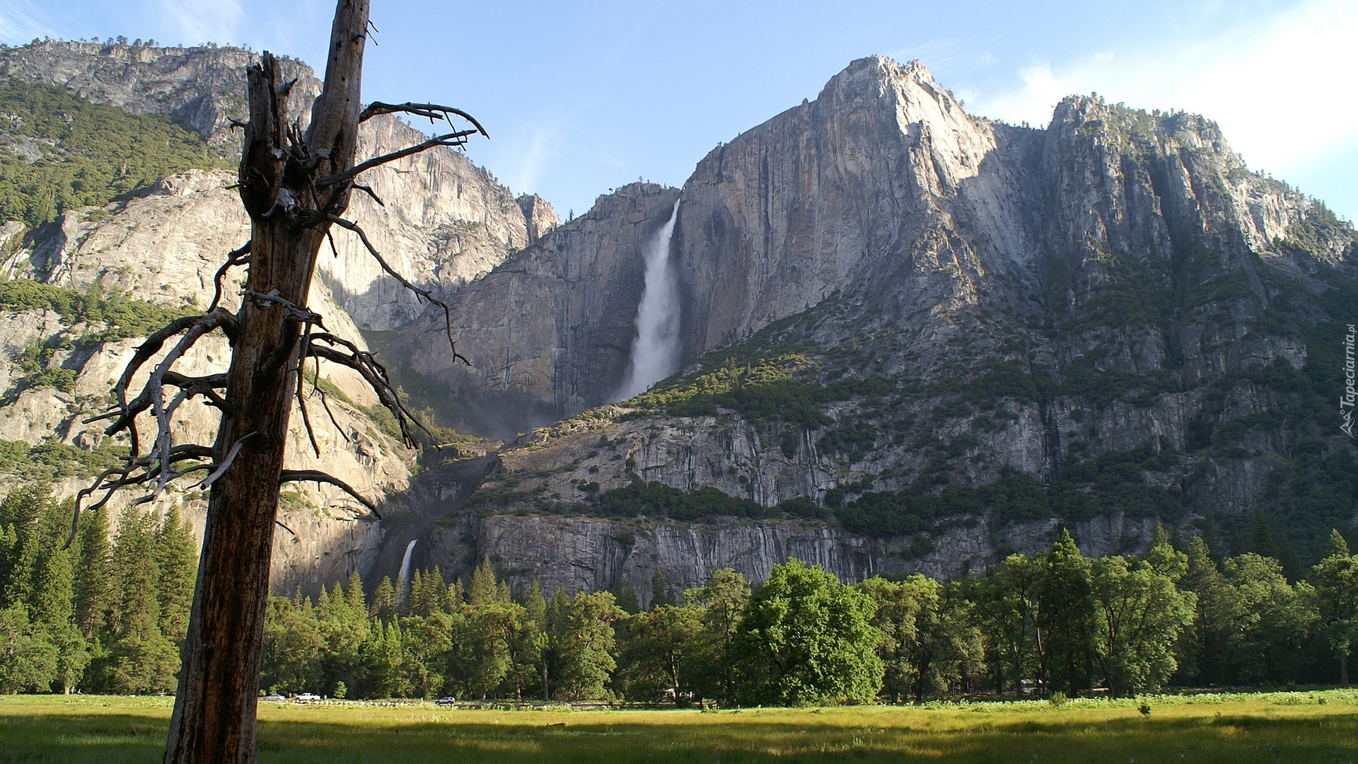 Stany Zjednoczone, Stan Kalifornia, Park Narodowy Yosemite, Drzewa, Łąka, Góry