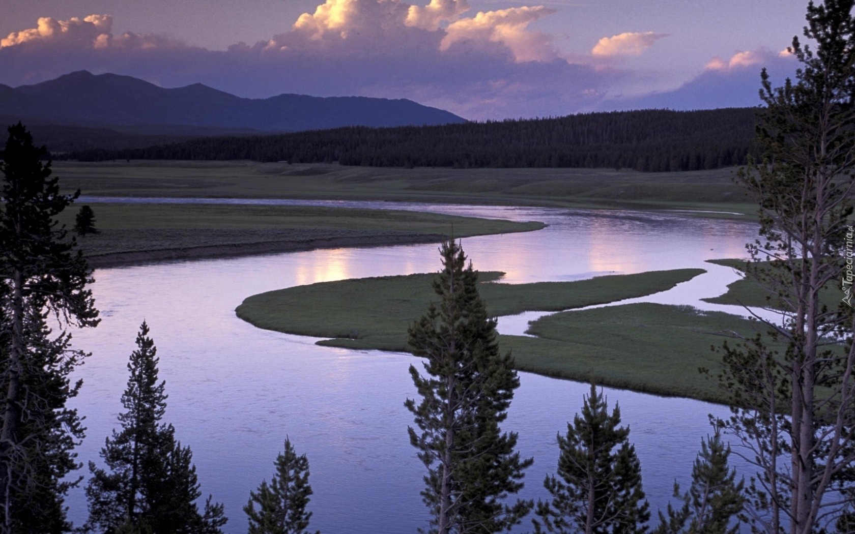 Stany Zjednoczone, Park Narodowy Yellowstone, Rzeka, Góry, Lasy