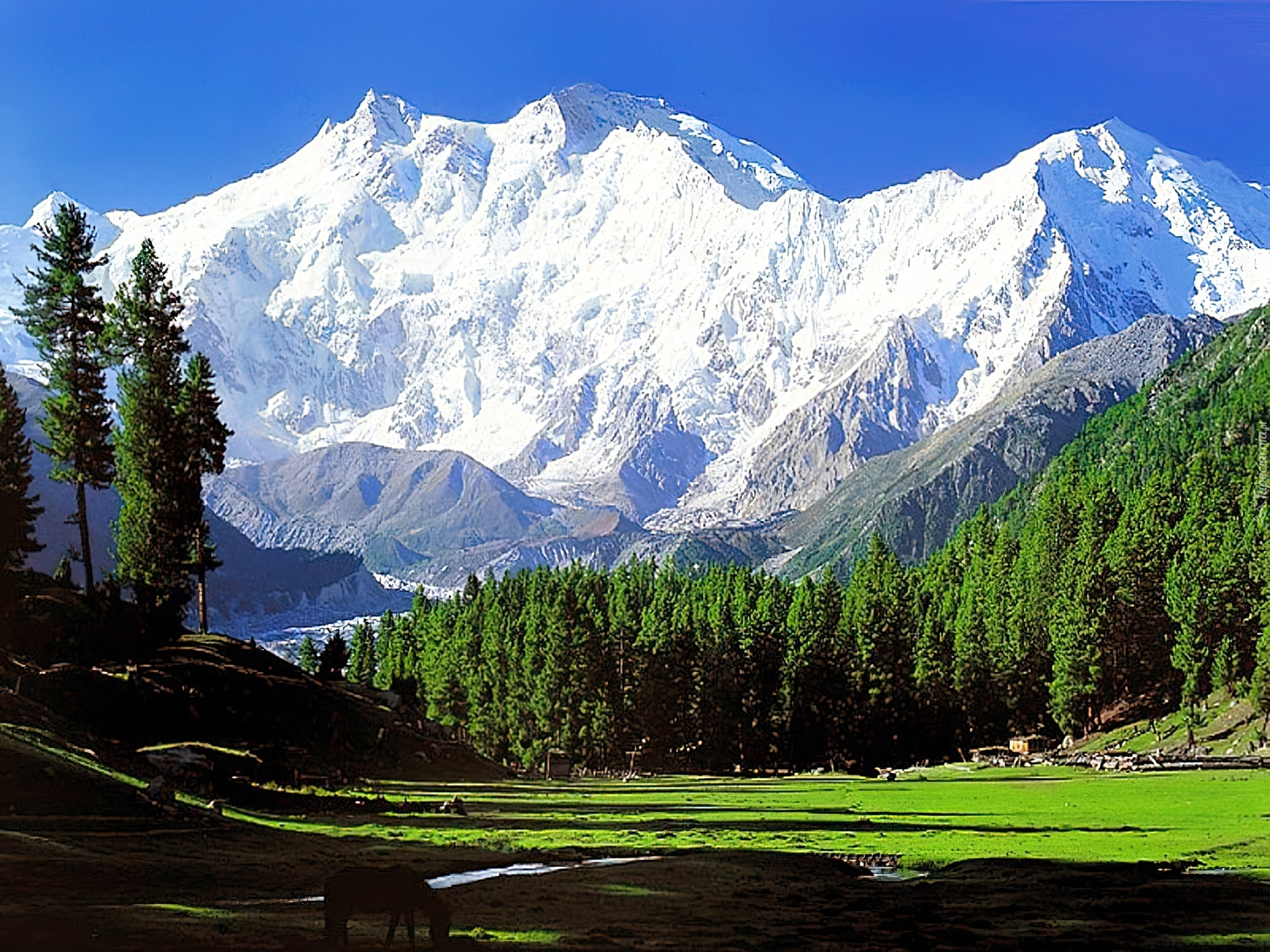 Pakistan, Himalaje, Nanga, Parbat, Ośmiotysięcznik, Góry