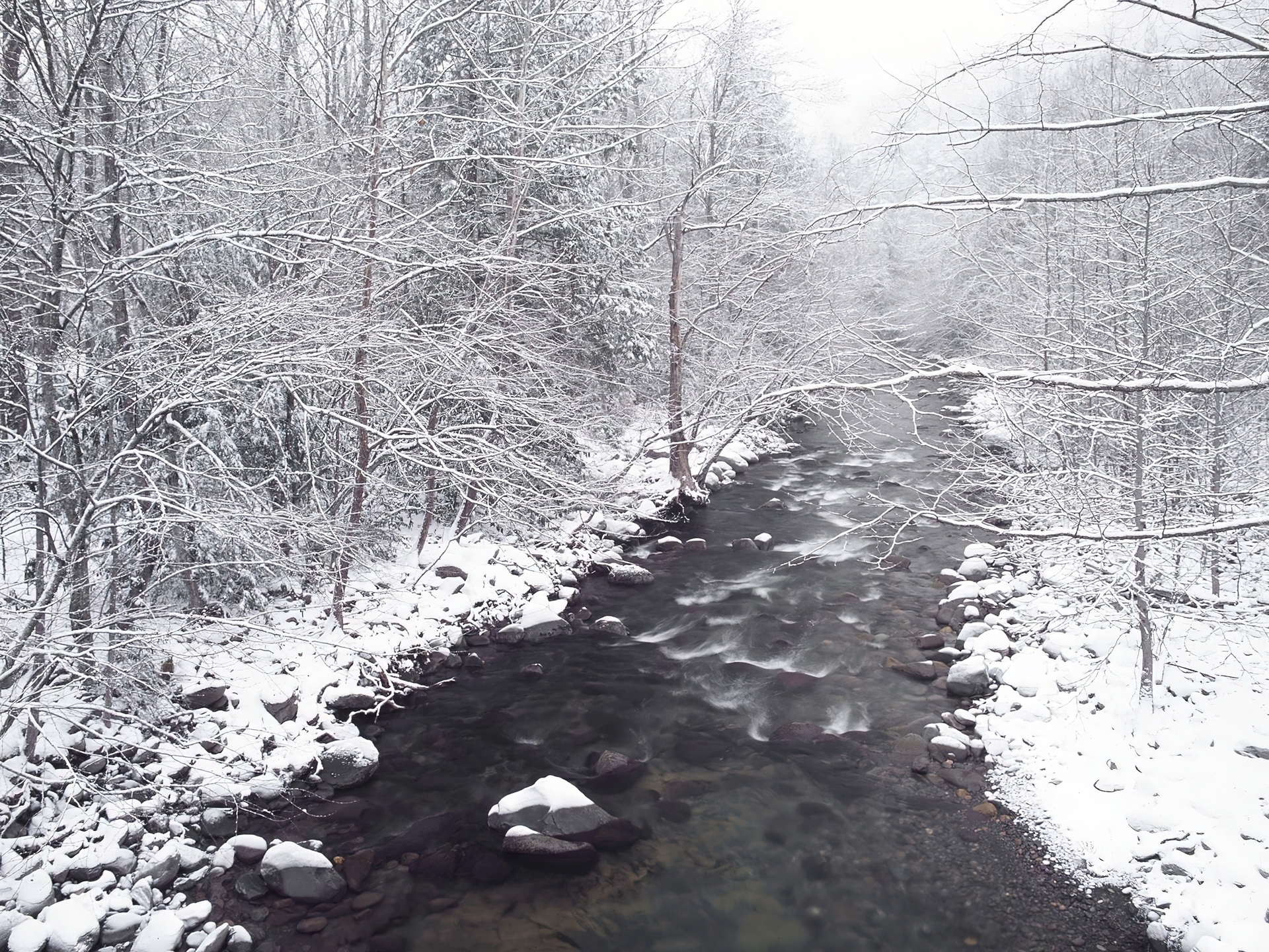 Rzeka, Kamienie, Las, Śnieg