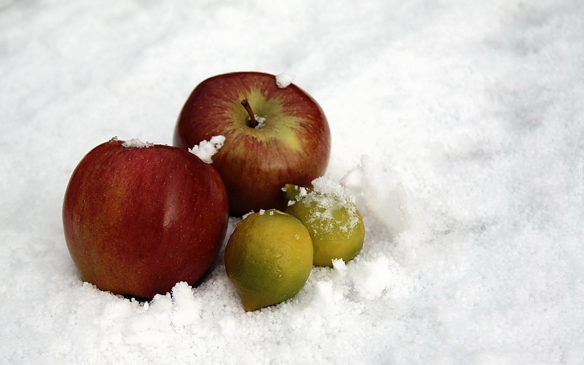 Jabłka, Cytrynki, Śnieg