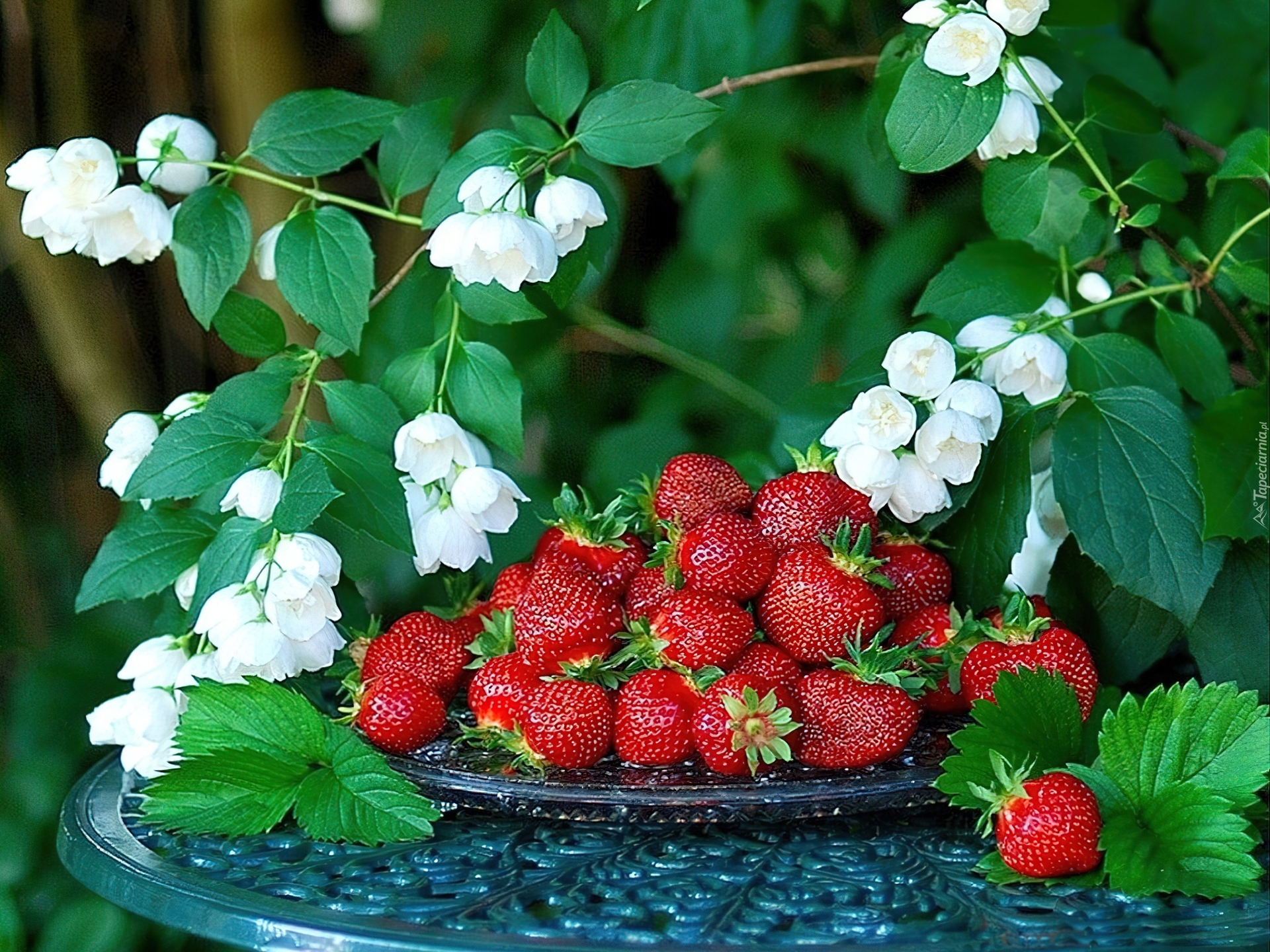 С начала ягодки. Лето ягоды. Лето ягоды цветы. Клубника. Летние открытки.