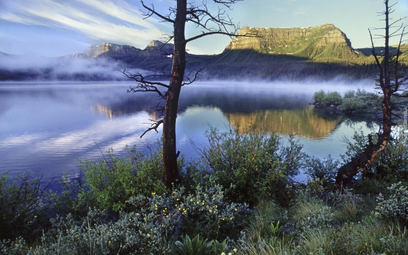 USA, Góry, Jezioro, Narodowy, Park, Colorado