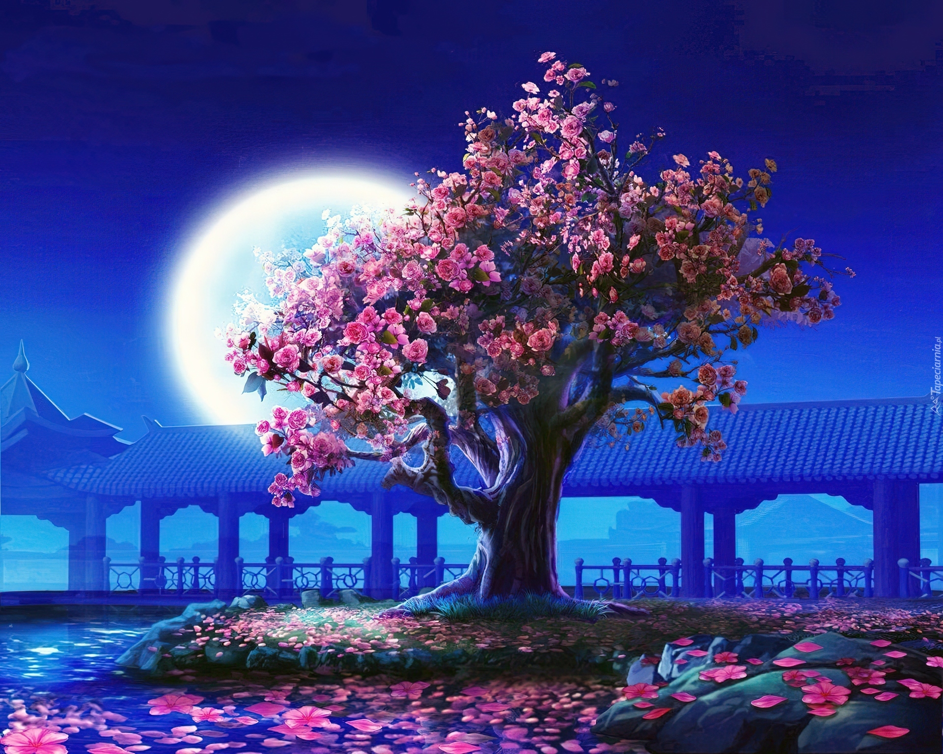 Kwitnące, Drzewo, Księżyc