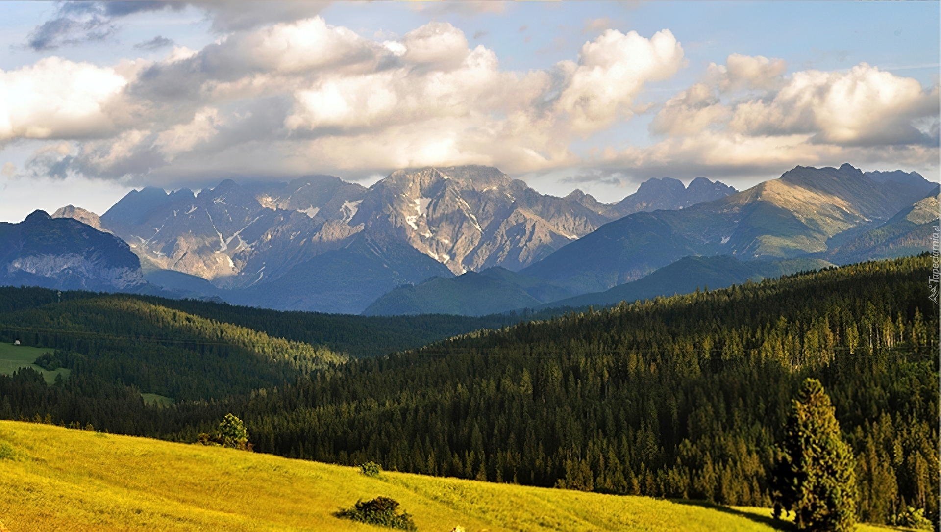 Bukowina, Tatrzańska, Góry