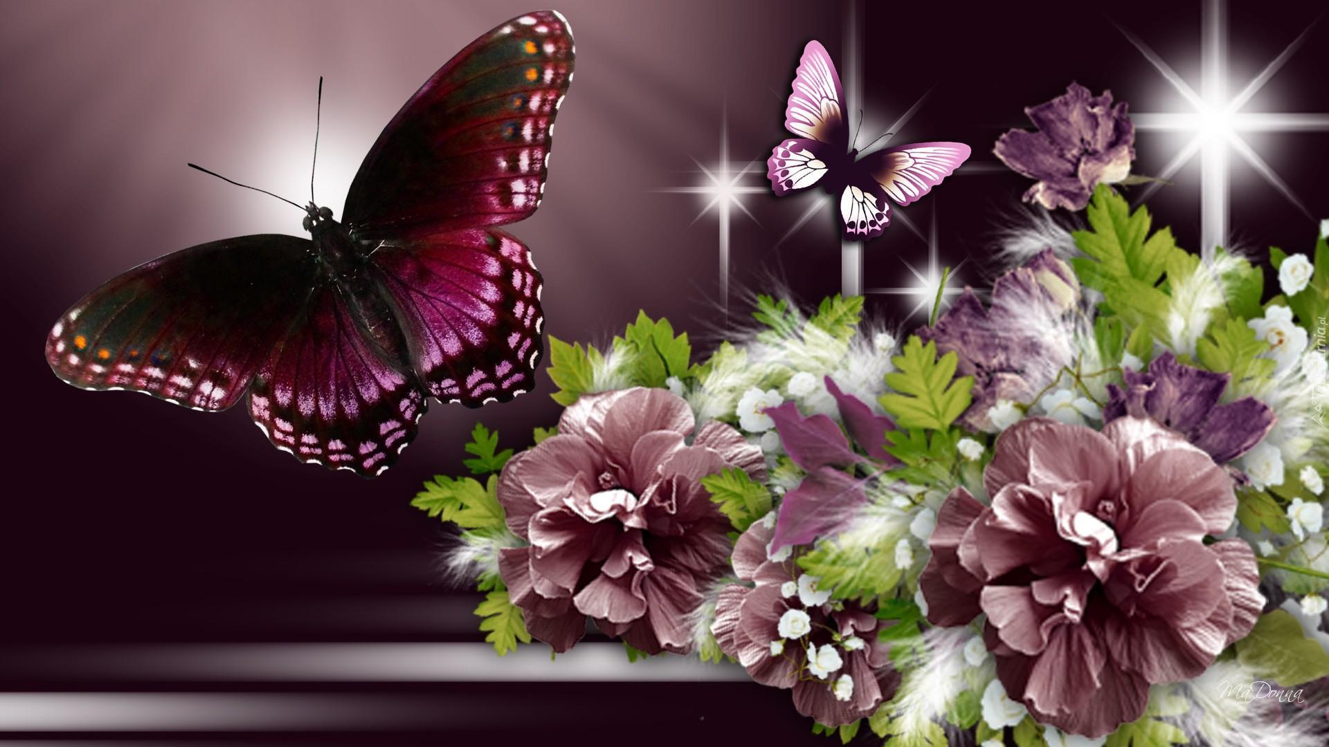 Kwiaty, Dwa, Motyle