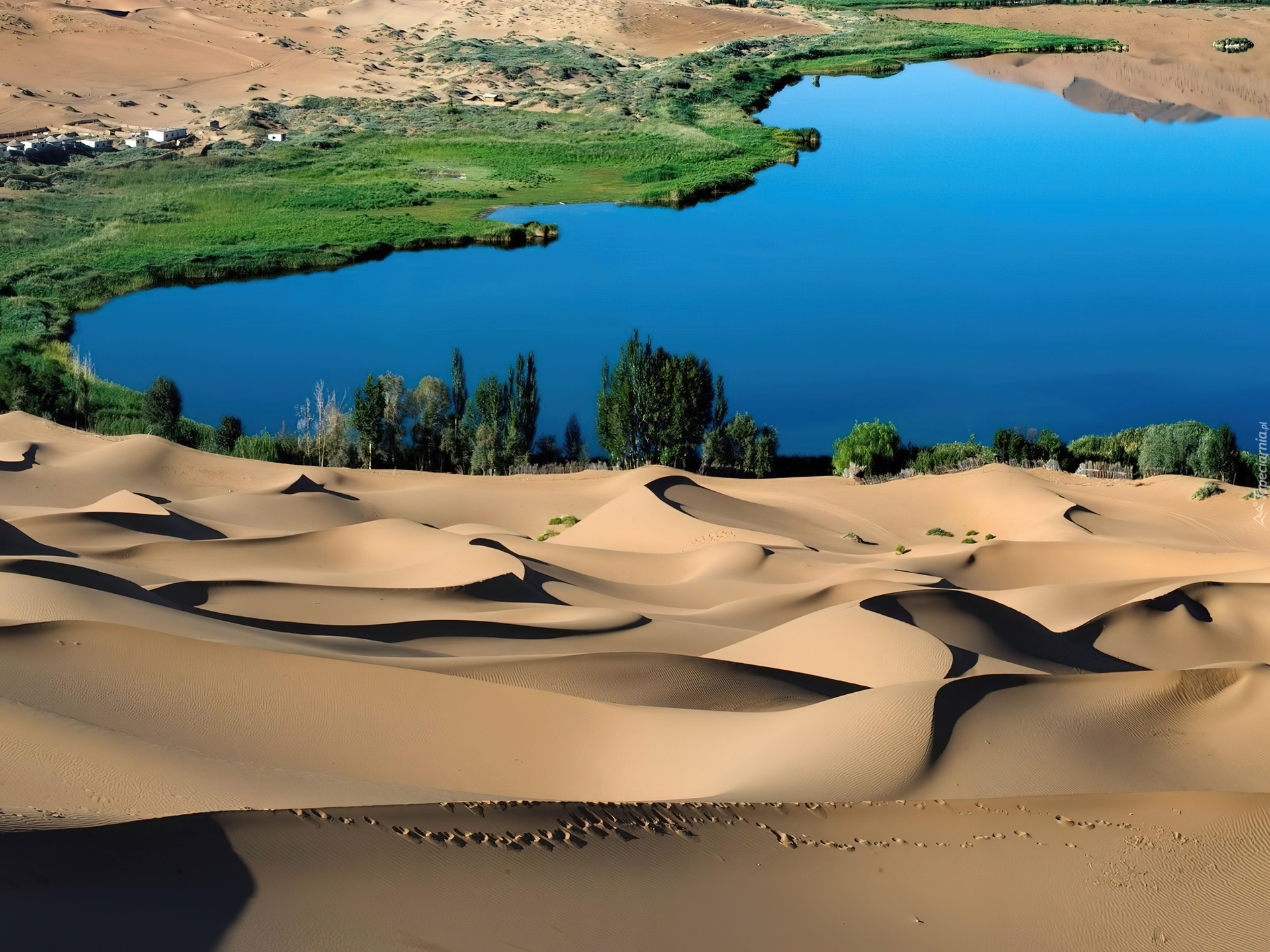 Река оазис. Пустыня сахара Оазис. Убари Ливия. Эль-Азизия Ливия. Аубари Оазис.