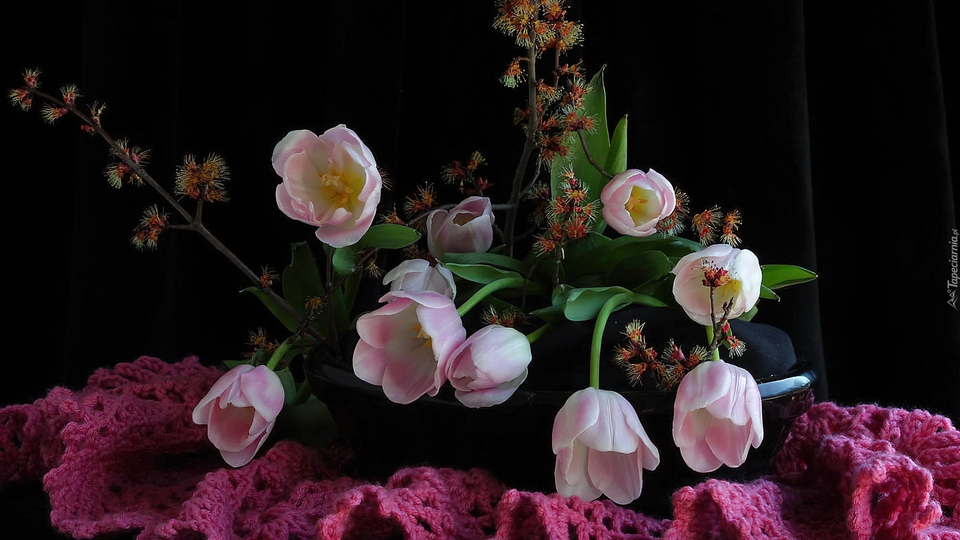 Różowe, Tulipany, Serwetka