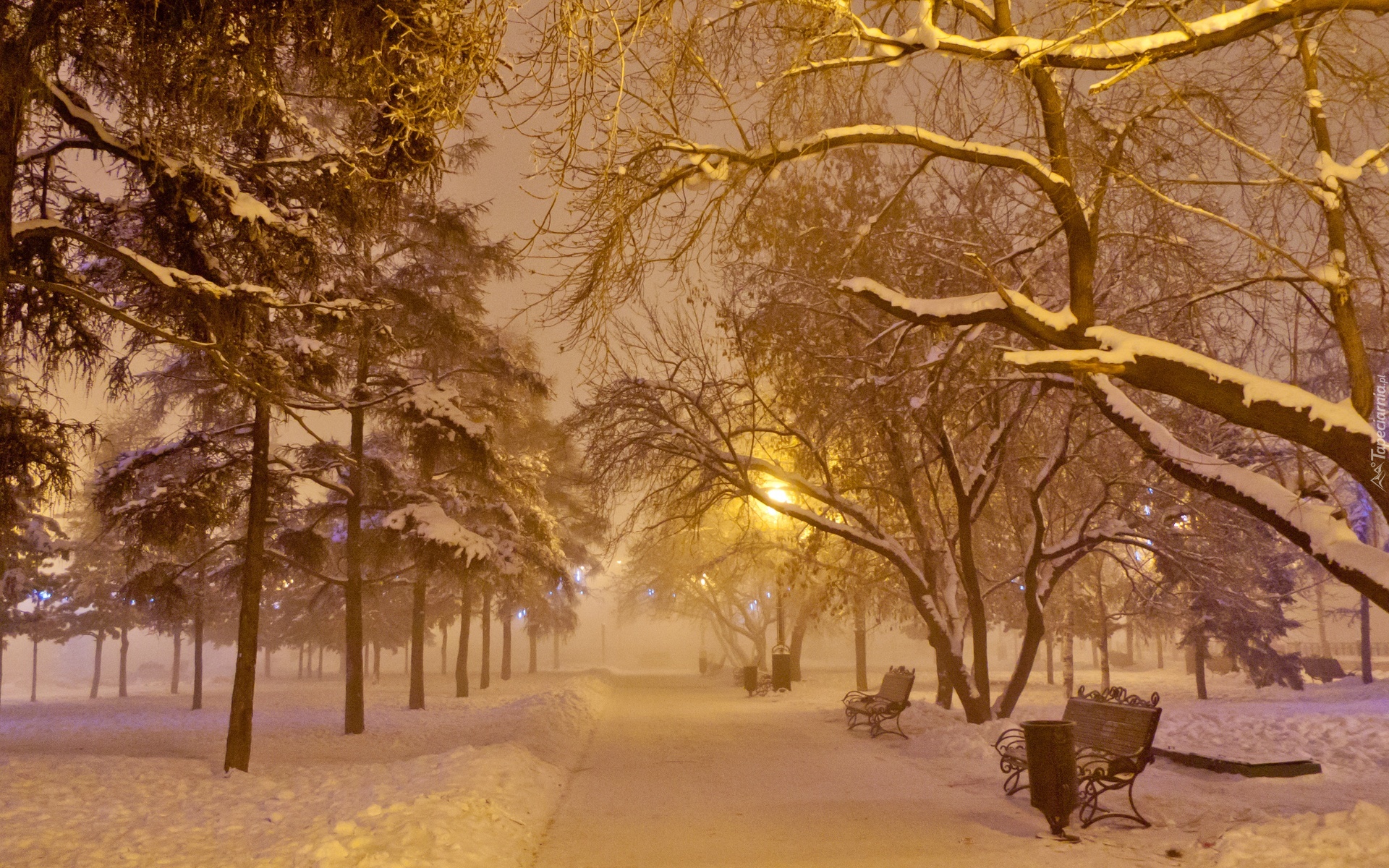 Zima, Park, Ławki