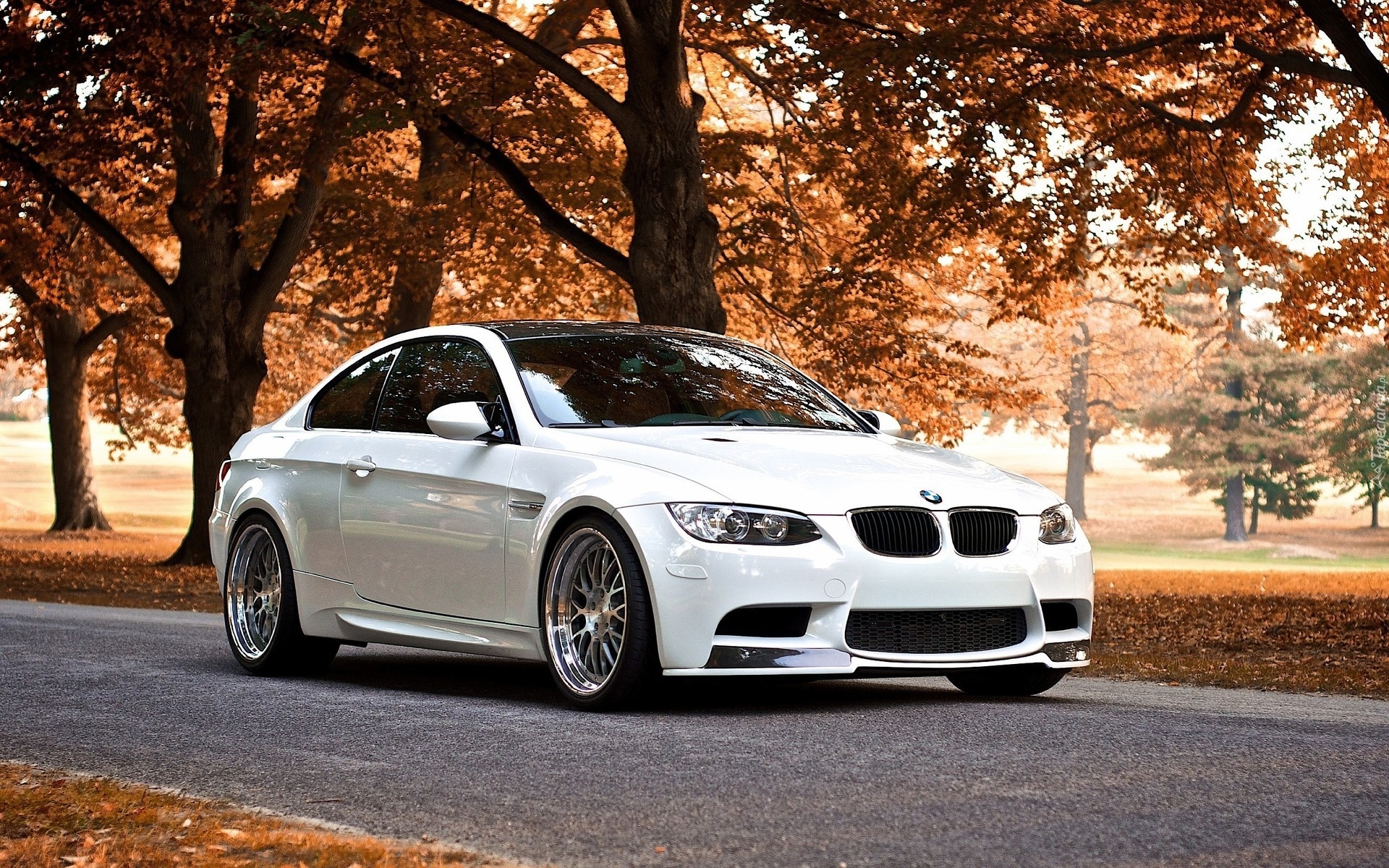 Bmw M3 Coupe, Droga, Liście