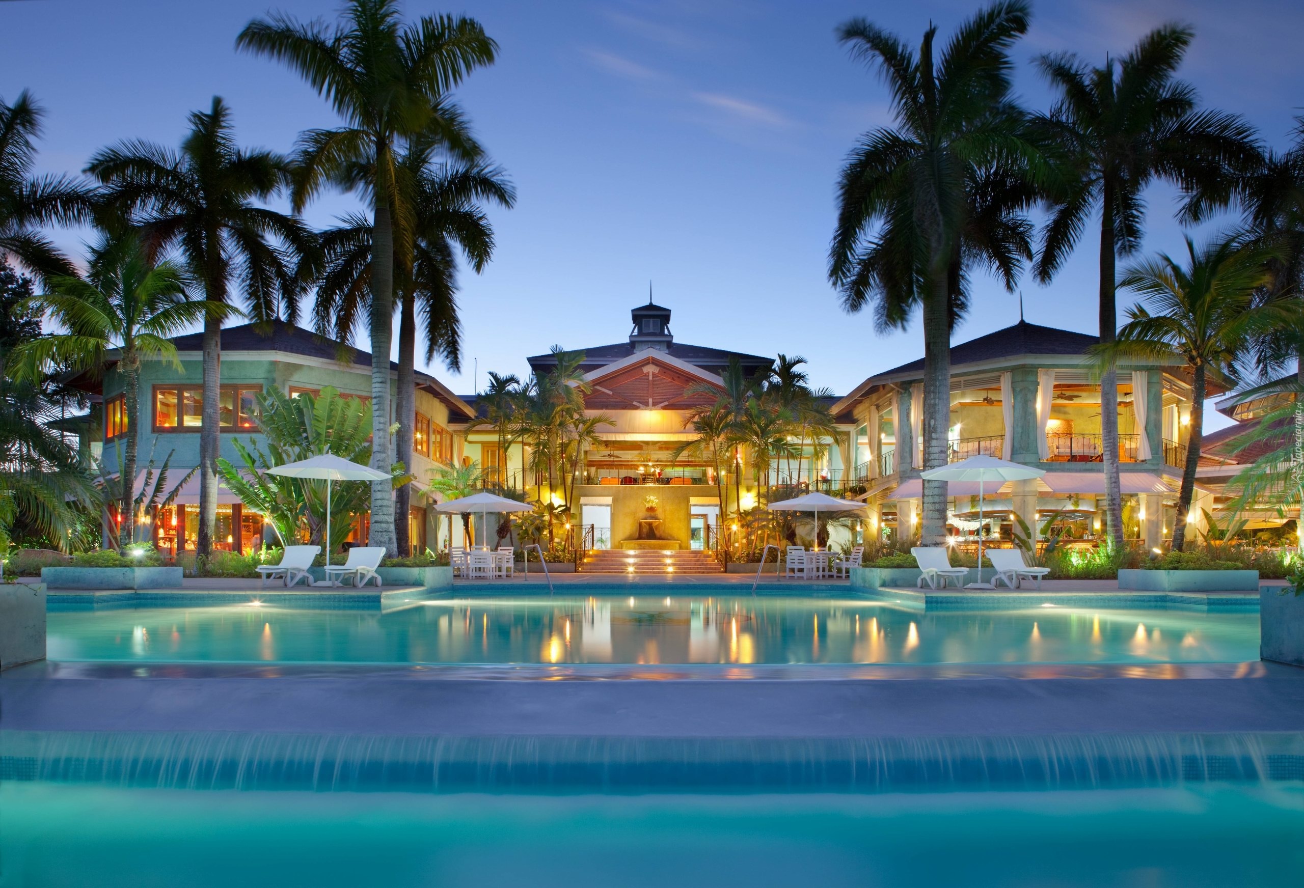 Hotel, Basen, Palmy
